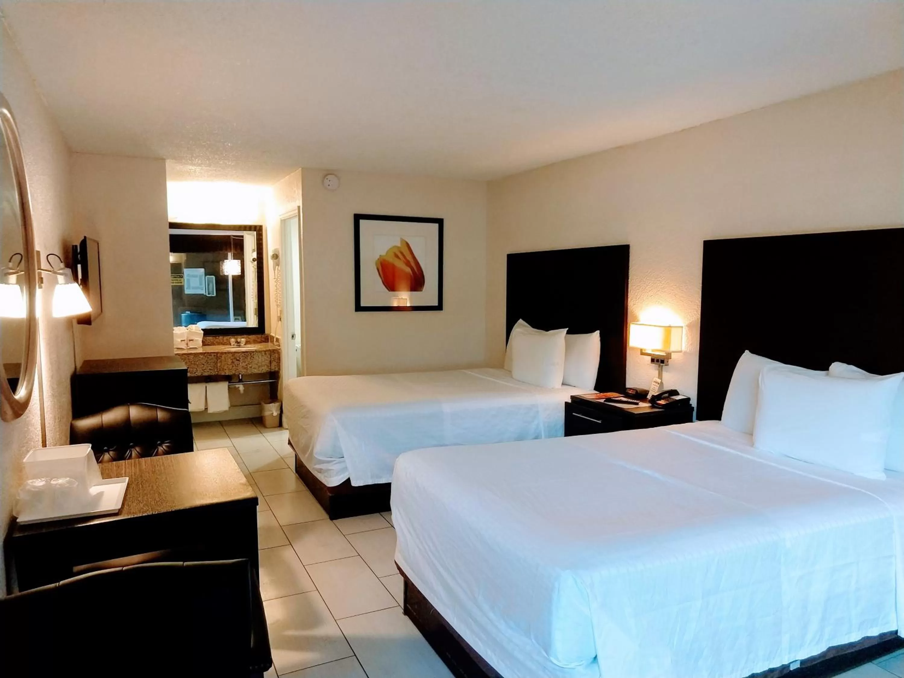 Photo of the whole room, Bed in Red Carpet Inn Airport Fort Lauderdale