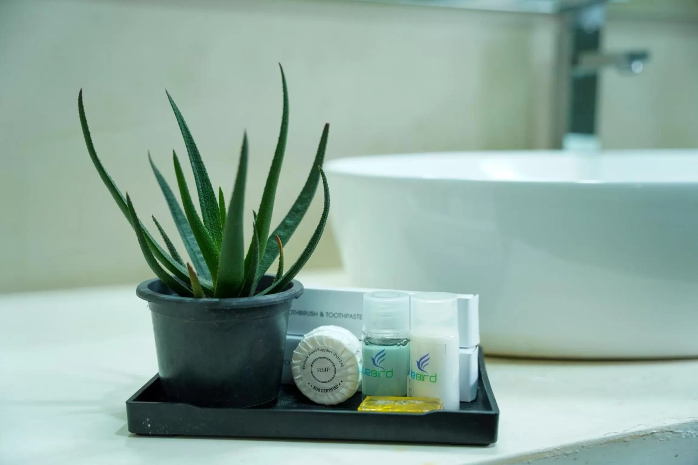 Bathroom in J leaf Hotel by Blue Bird