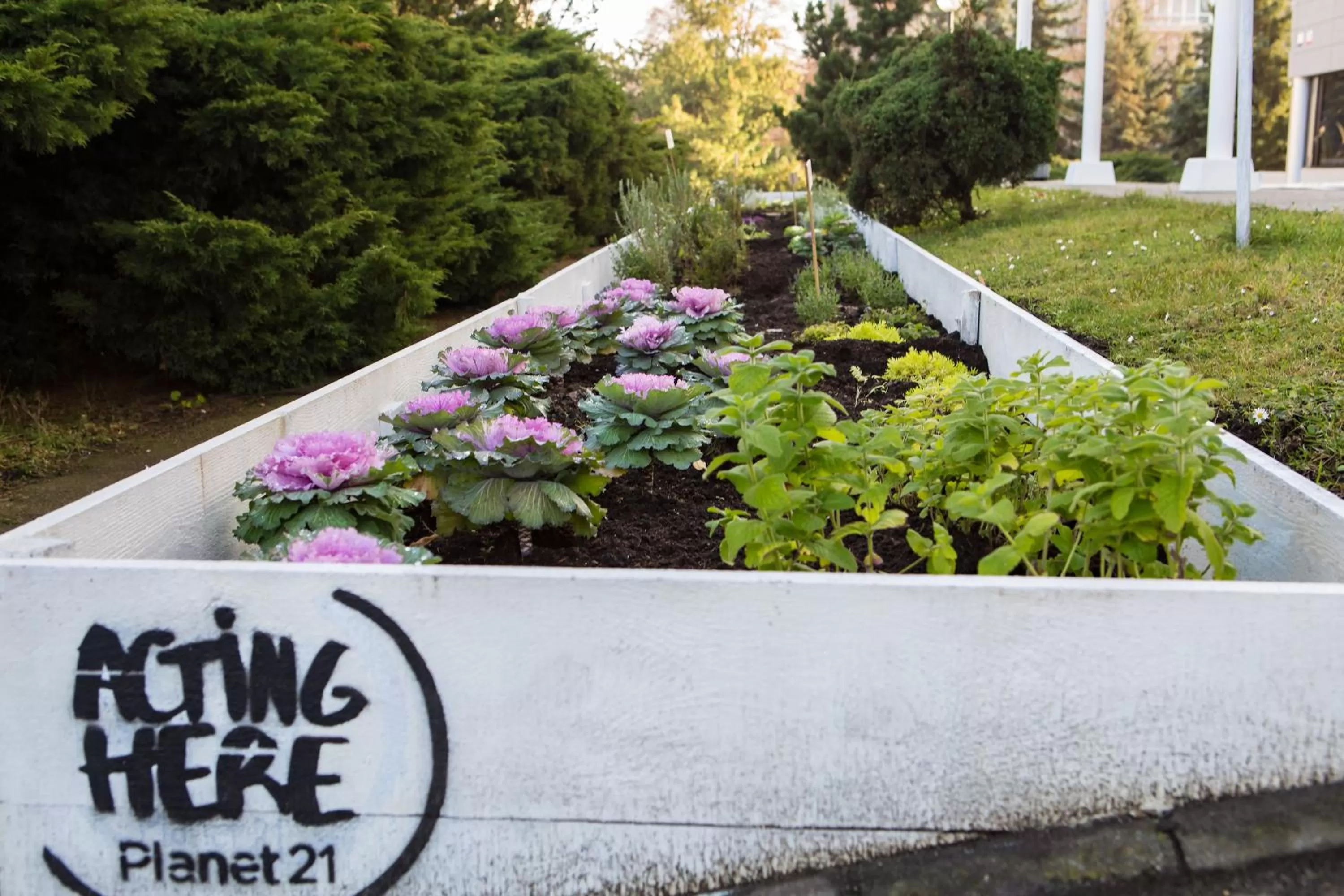 Natural landscape in Novotel Wrocław Centrum