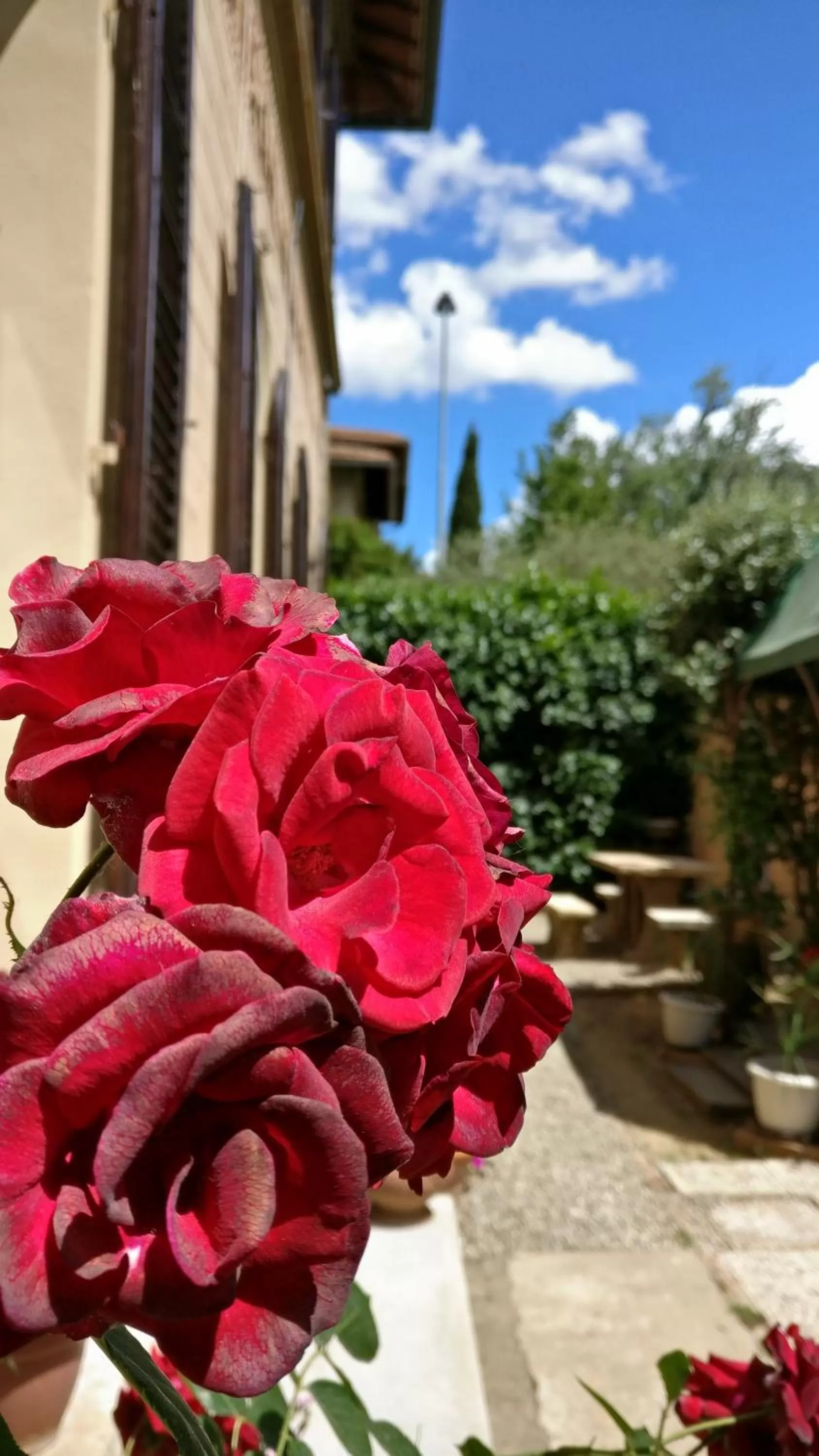 Property building in La Chicca B&B Siena