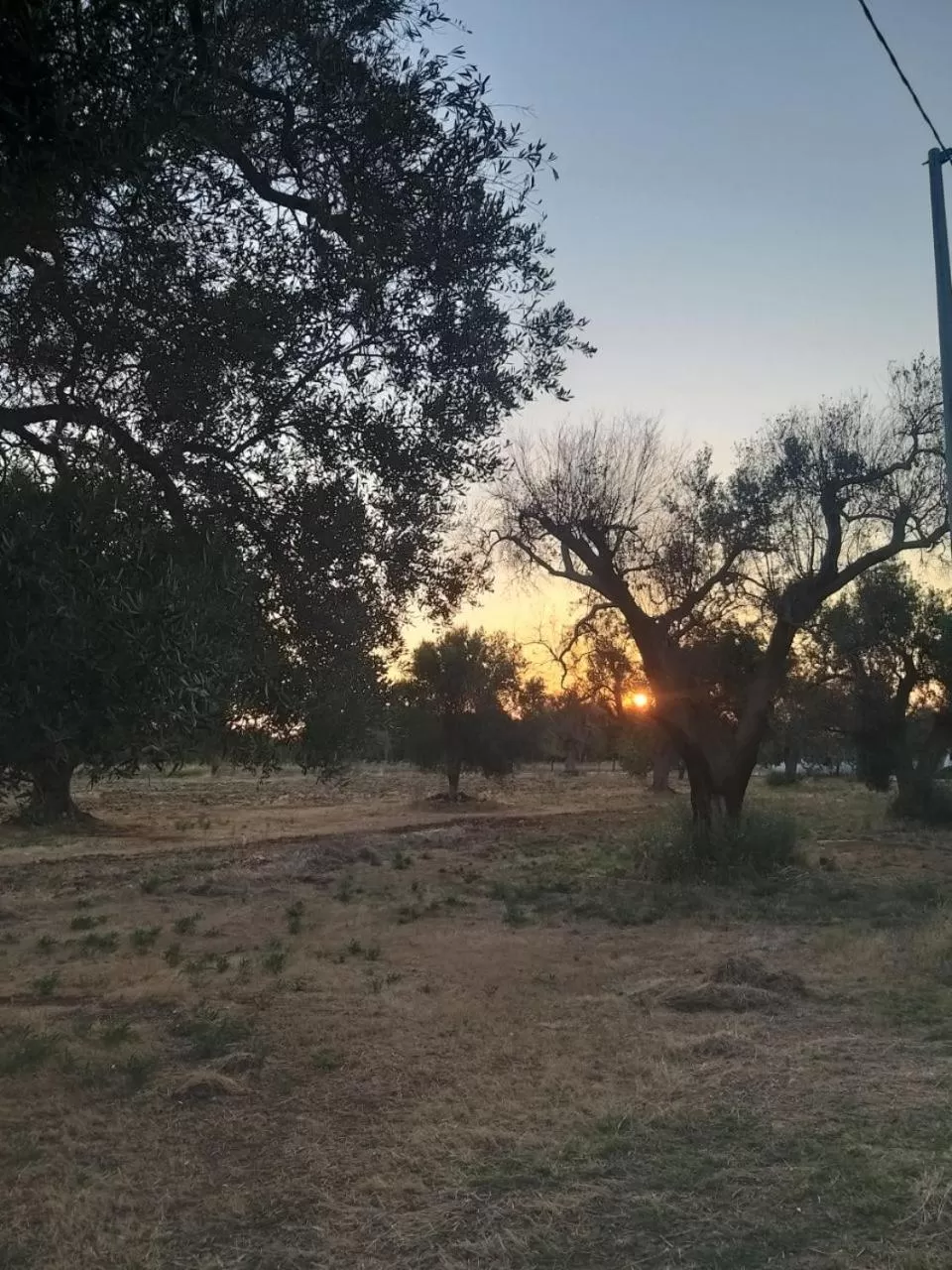 Natural landscape in TRULLO CARMEN