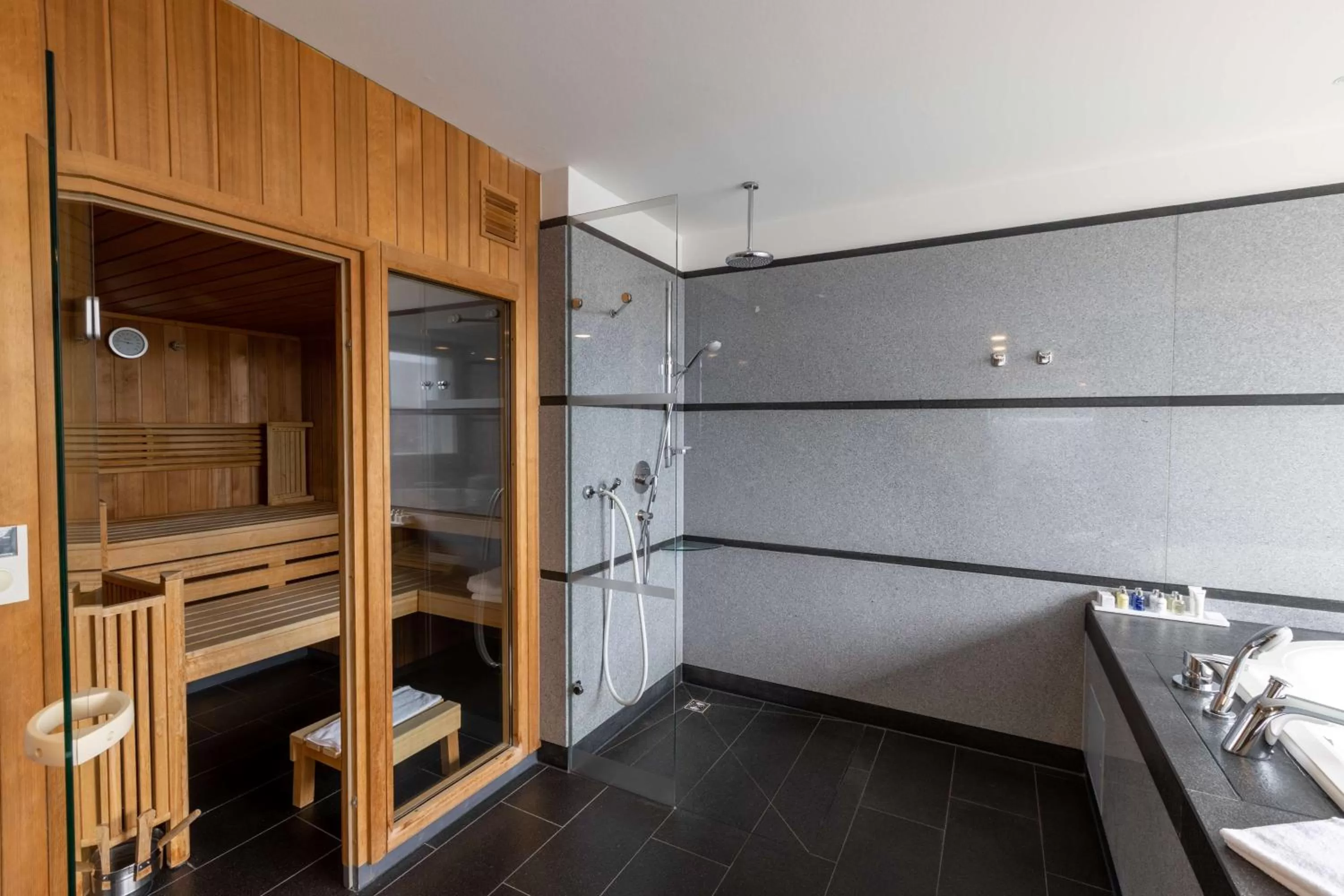 Sauna in Radisson Blu Hotel Erfurt