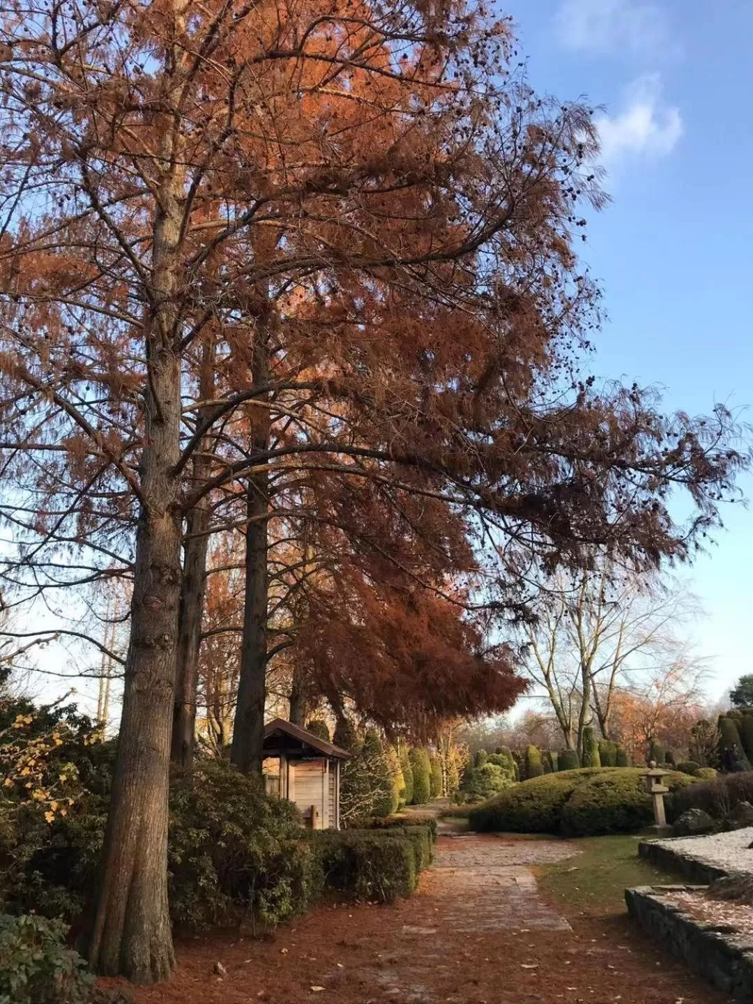 Natural landscape in Hotel 83