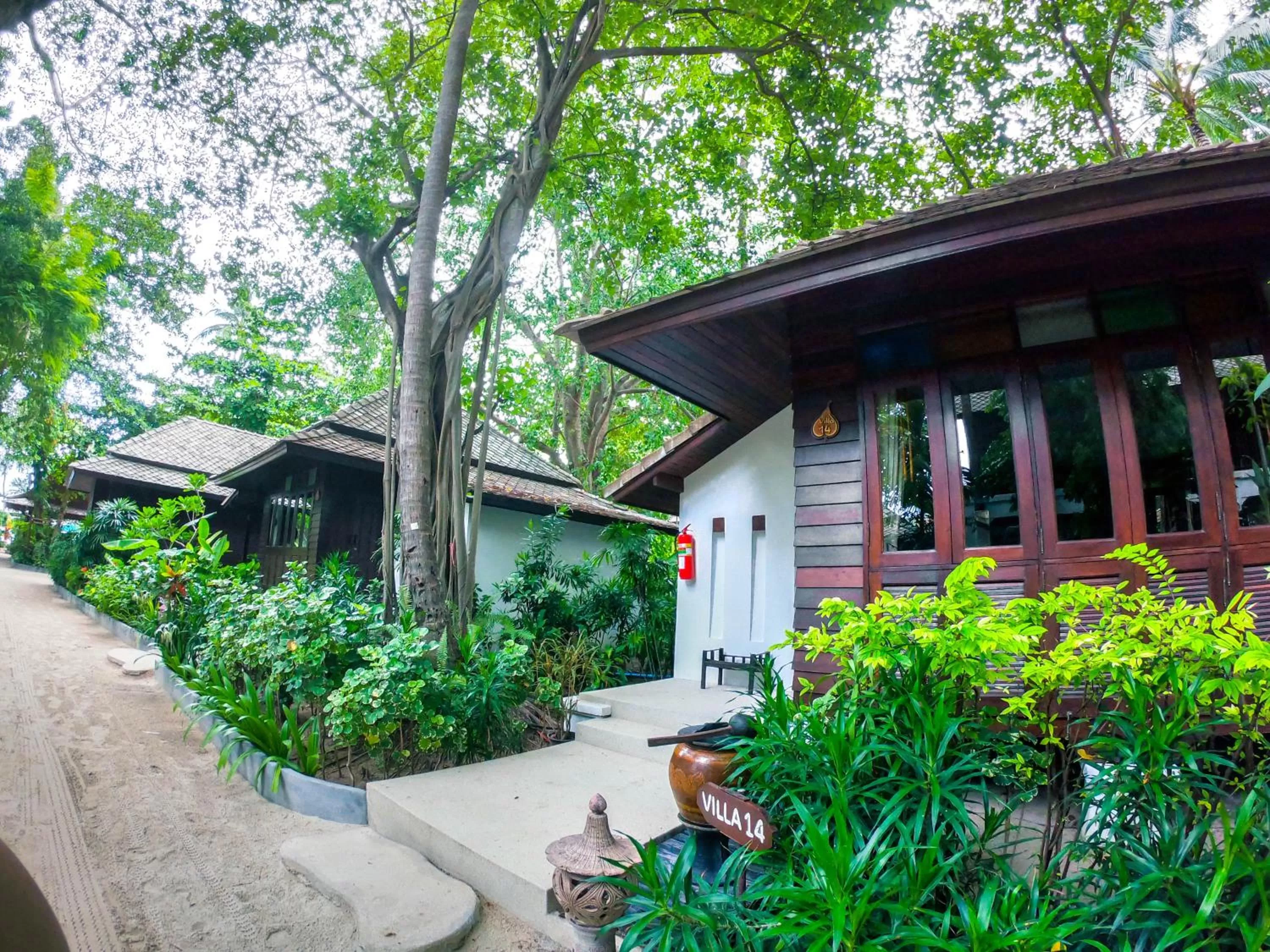 Garden view in Chaweng Garden Beach Resort - SHA Plus