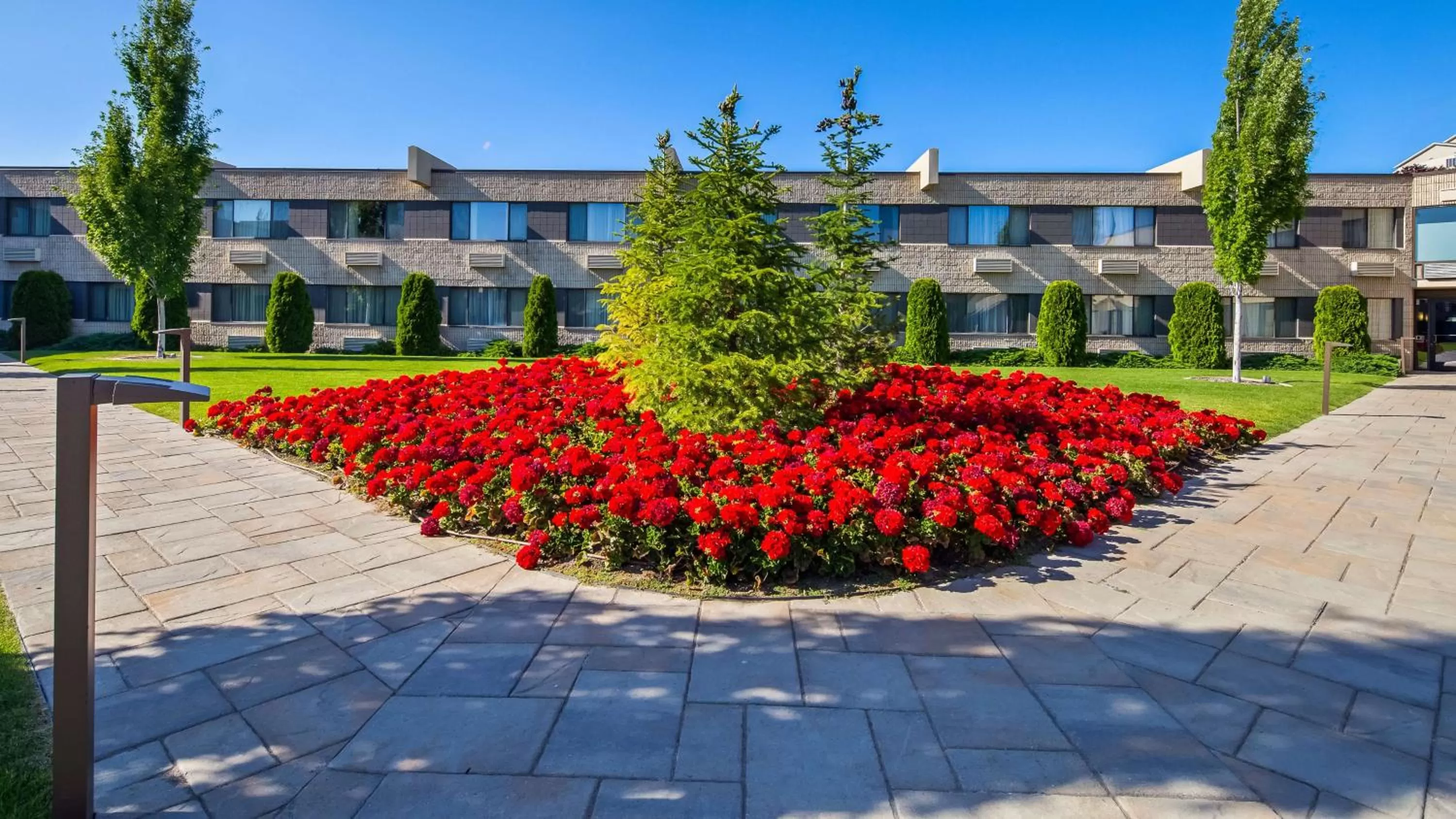 View (from property/room) in Best Western Plus University Inn