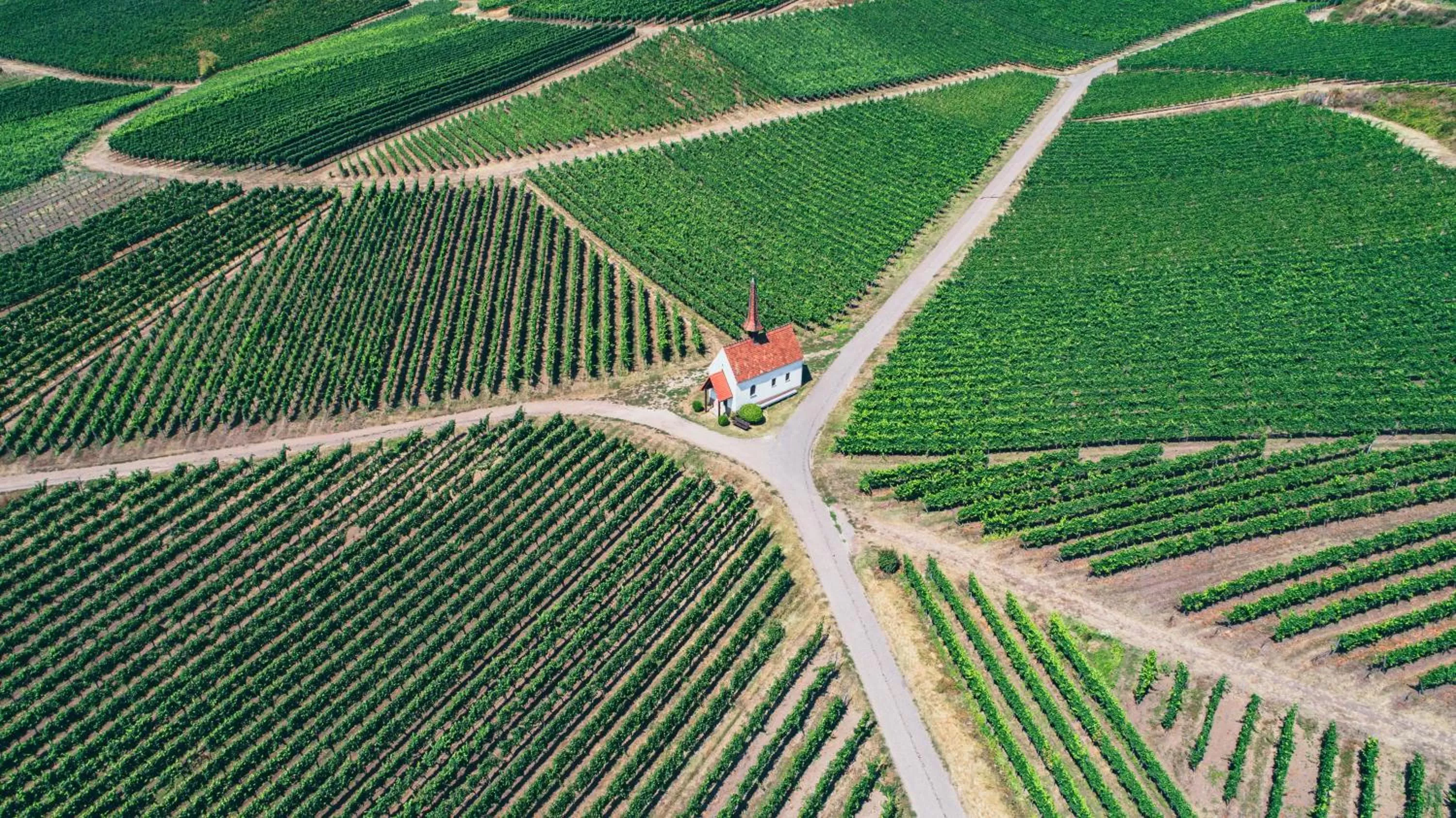 Activities in Dorint Thermenhotel Freiburg