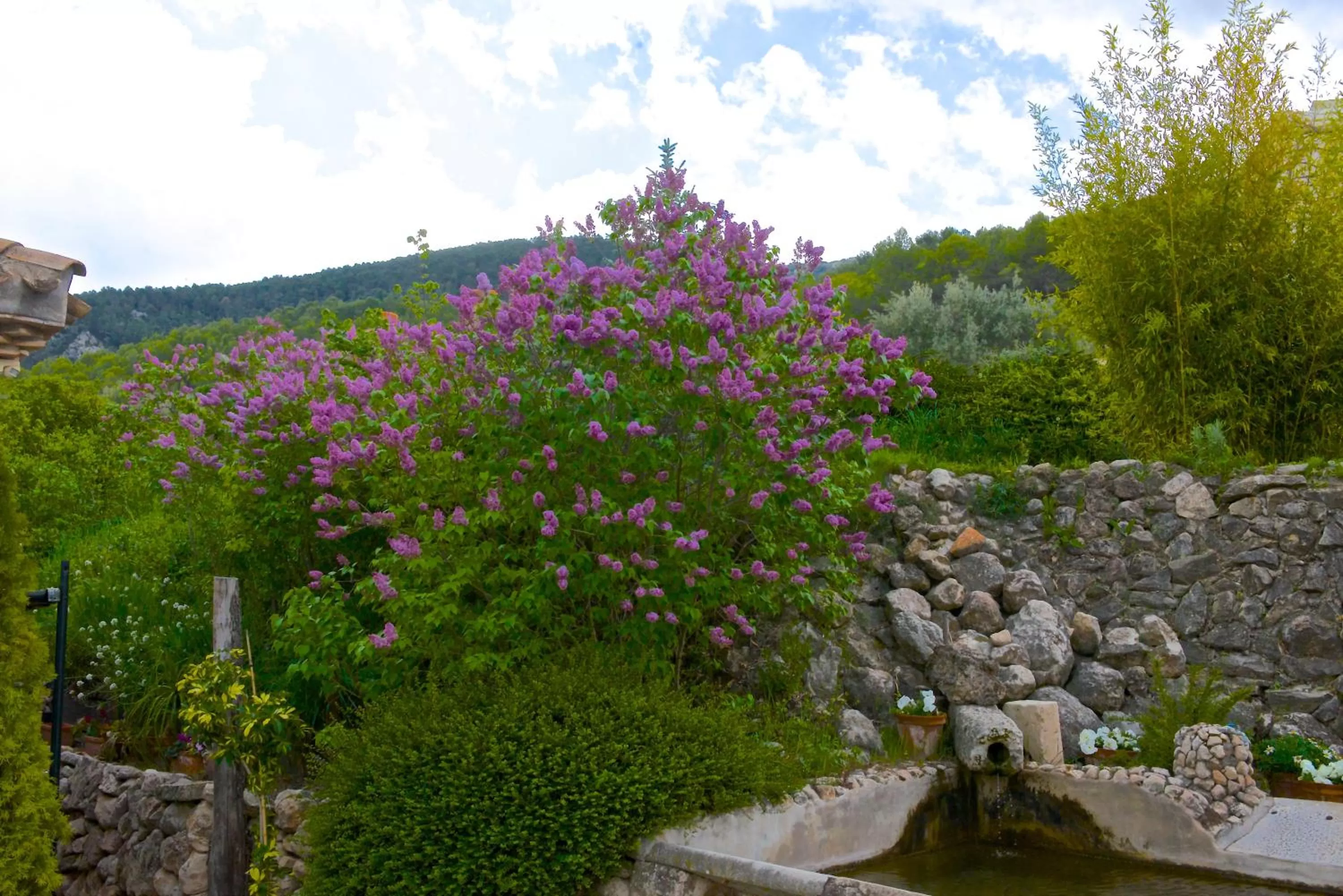 Garden in Eco Hotel con encanto Masía la Mota B&B
