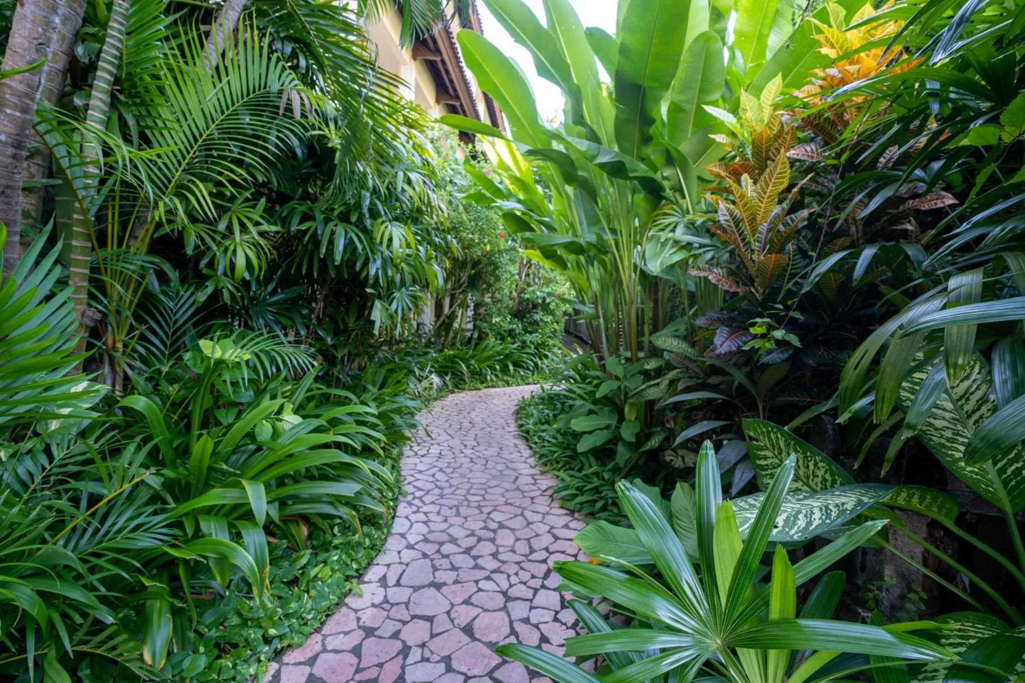 Garden in Hotel Kumala Pantai