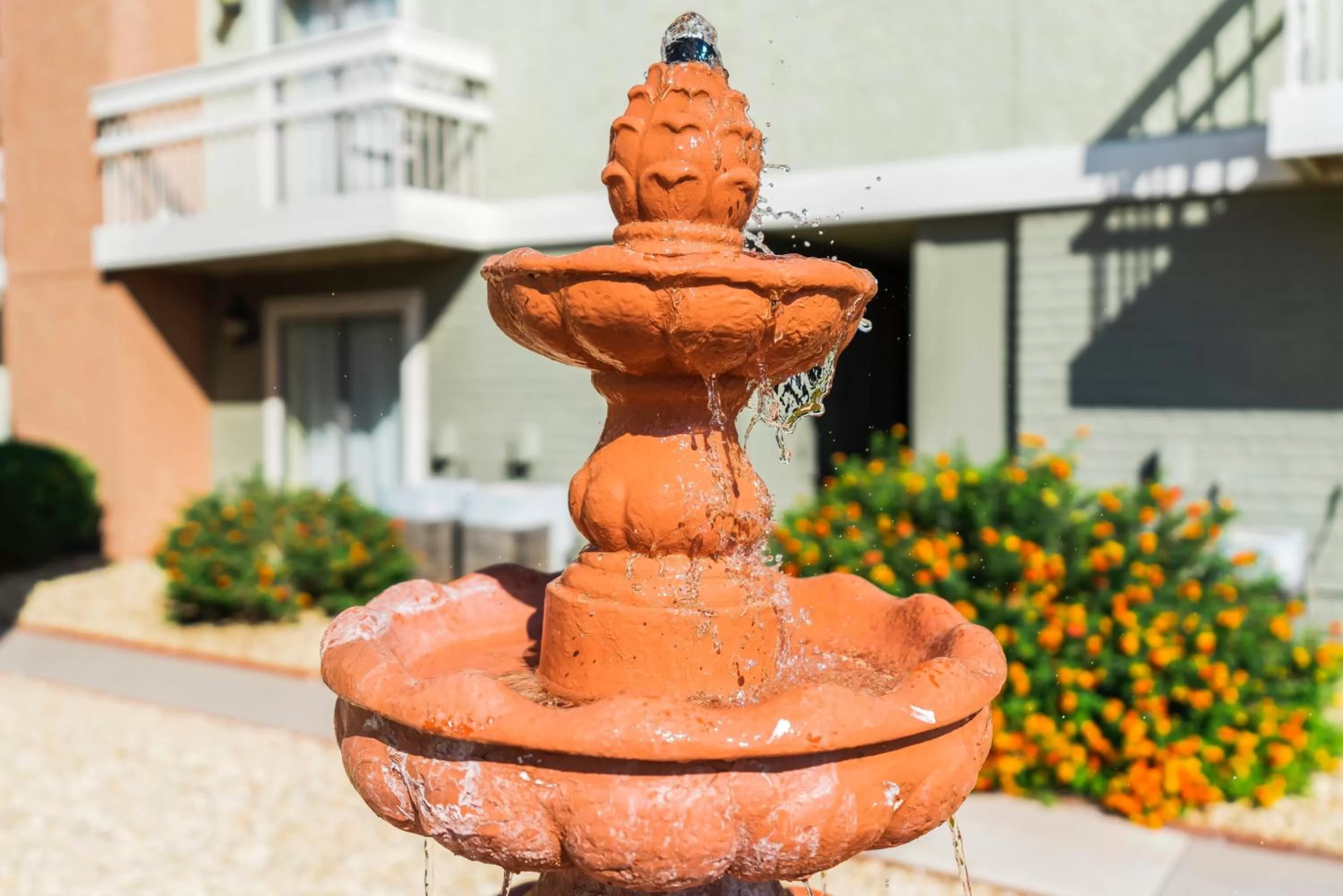 Garden in Chase Suite El Paso