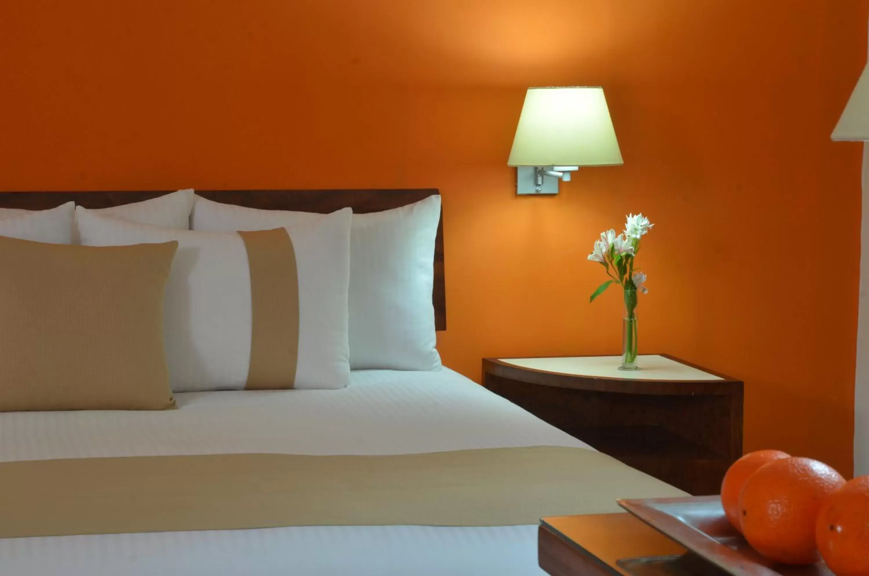 Superior Room in Mision Monterrey Centro Historico Superior Room in Mision Monterrey Centro Historico