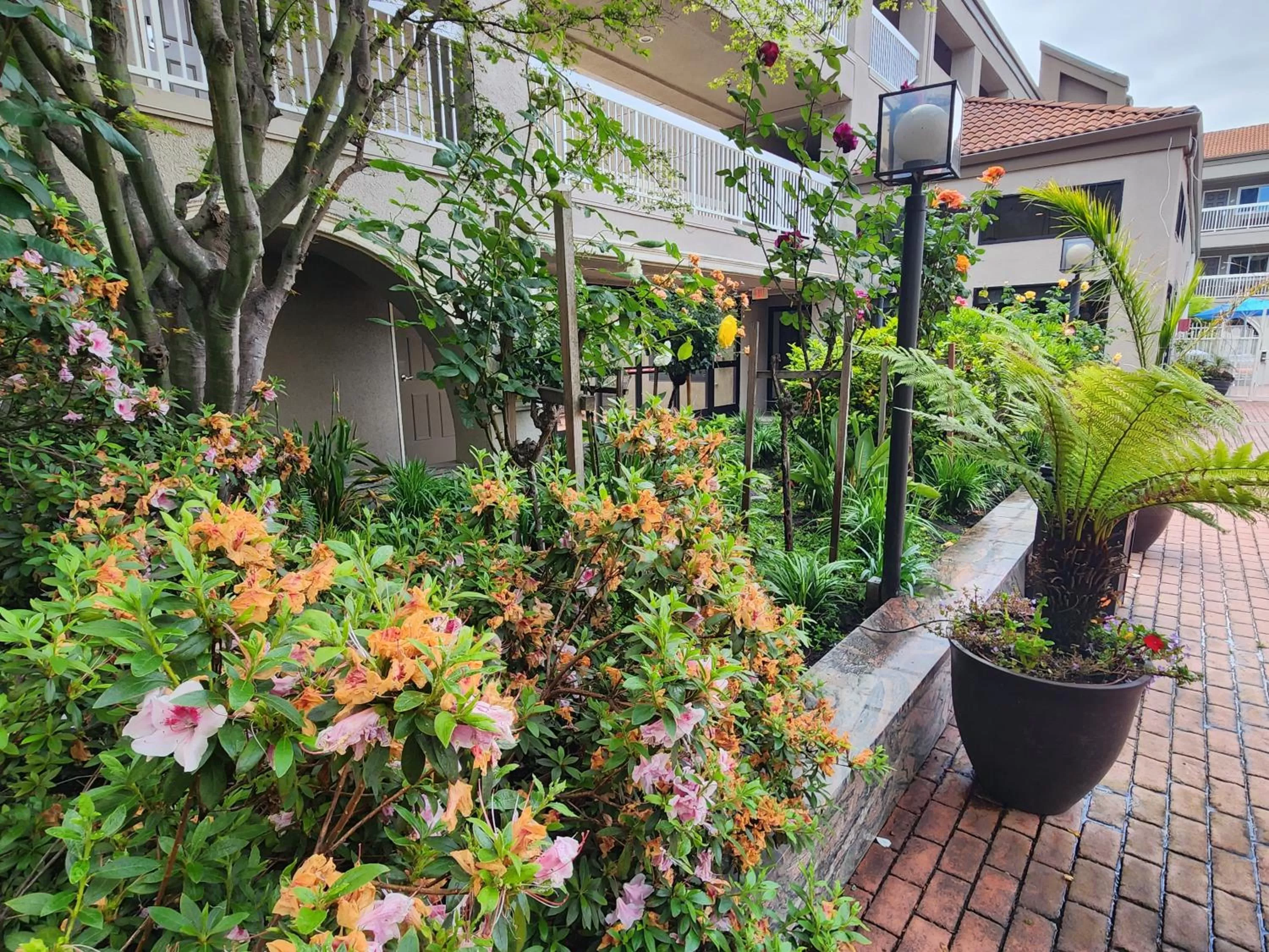 Garden view in La Quinta by Wyndham San Francisco Airport West Millbrae FREE AIRPORT SHUTTLE