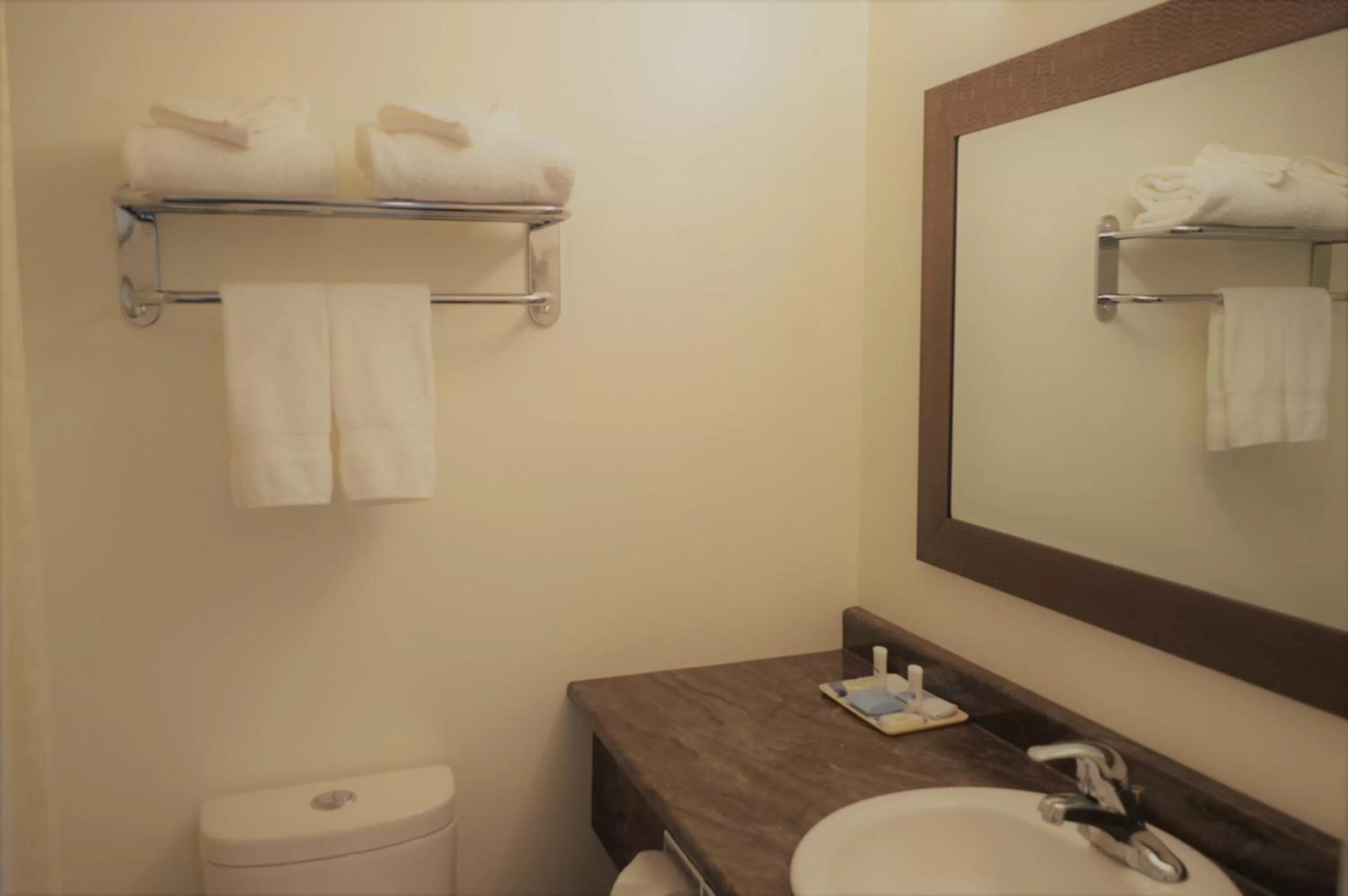 Bathroom in Western Traveller Motel