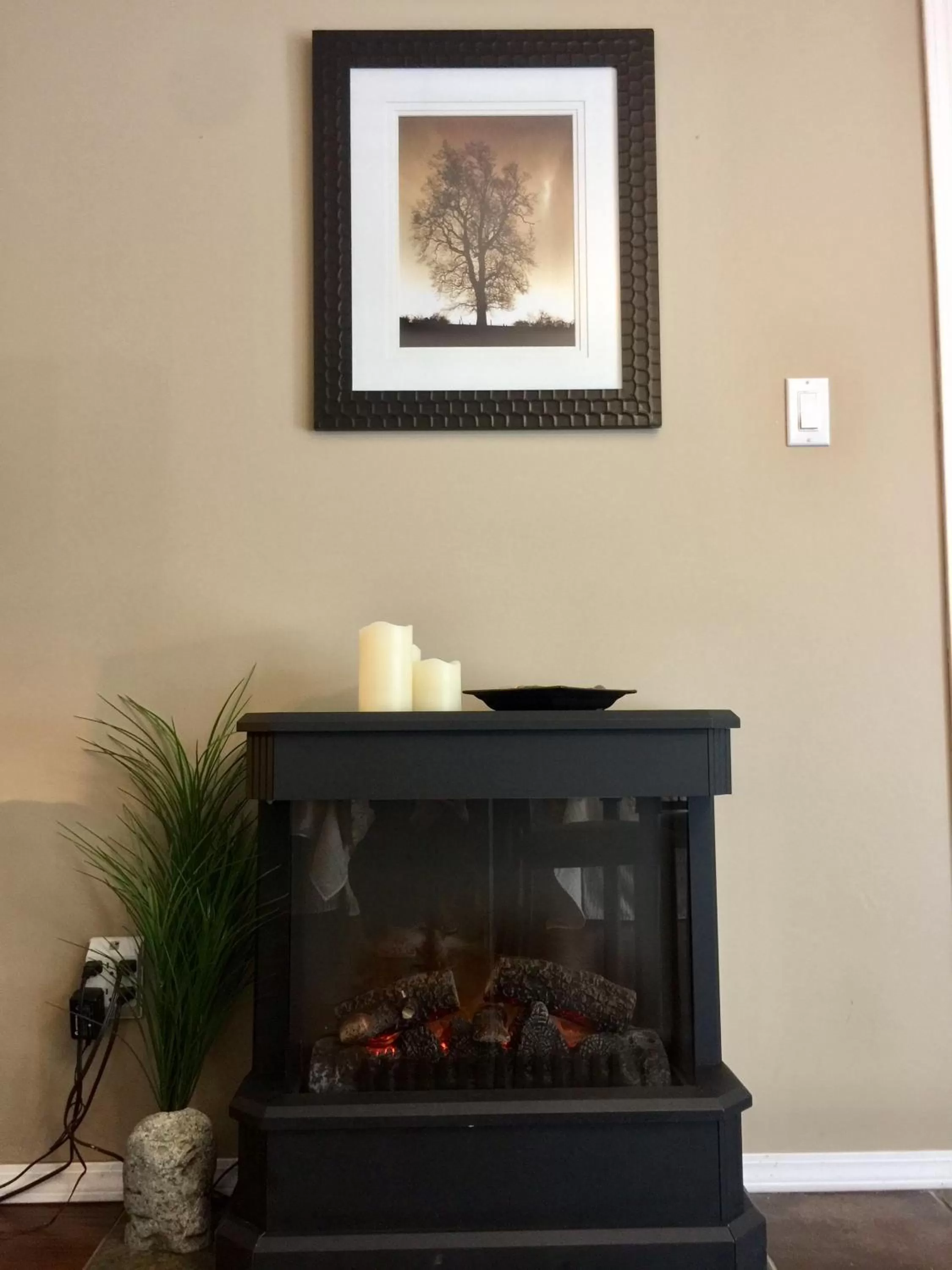 Area and facilities in Evergreen Bed & Breakfast