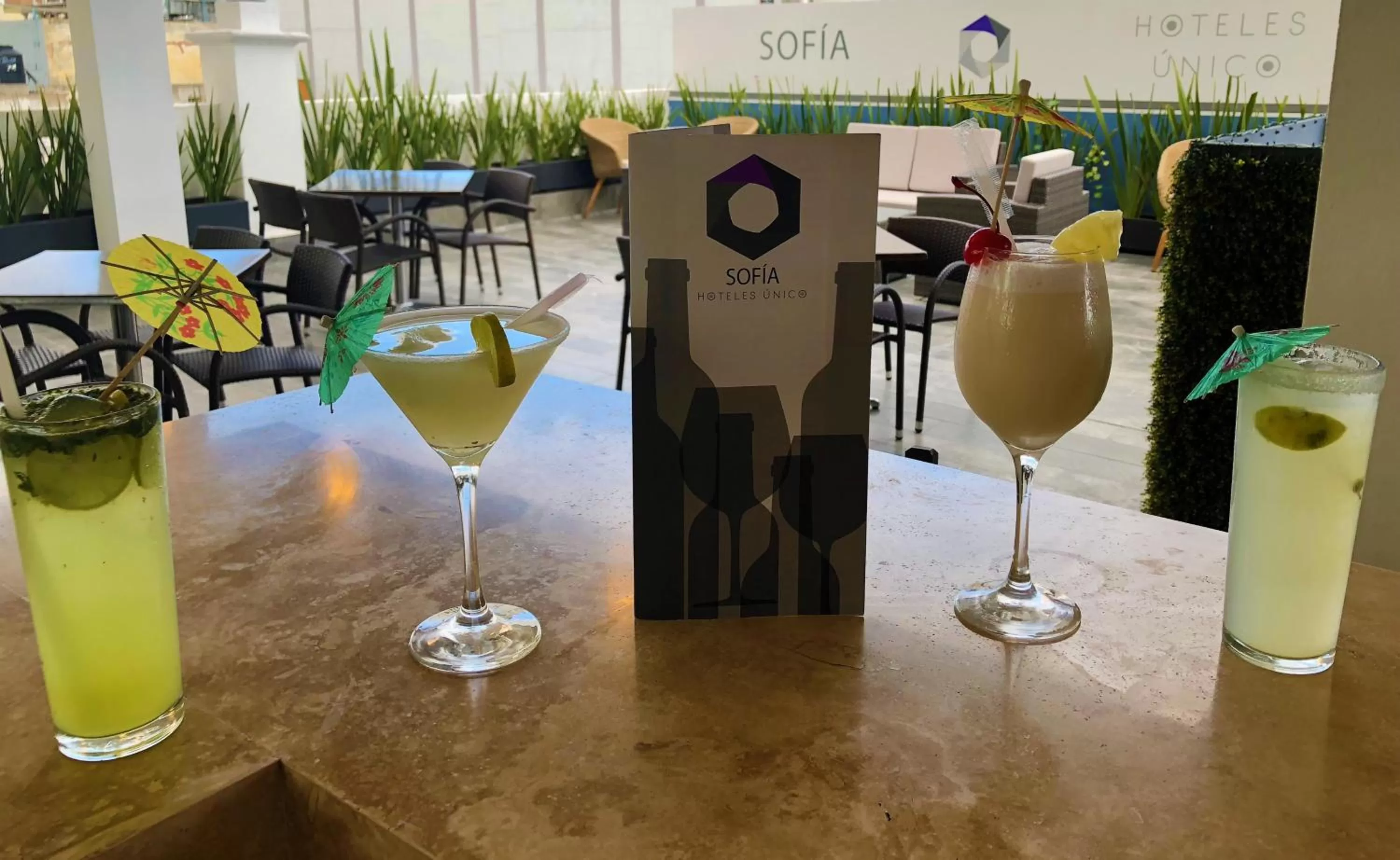 Drinks in Hotel Sofia