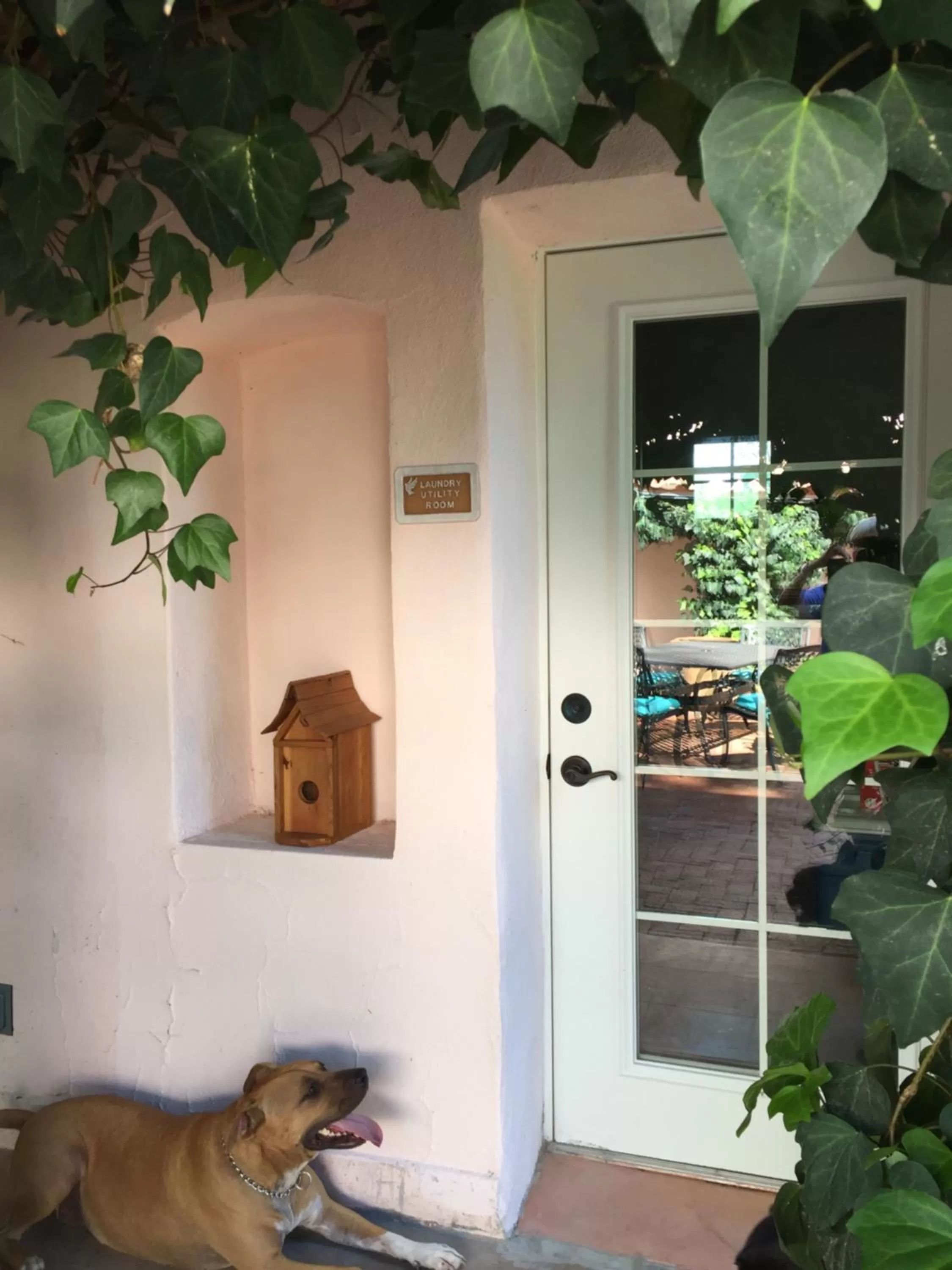 Property building in Casa Paloma B&B