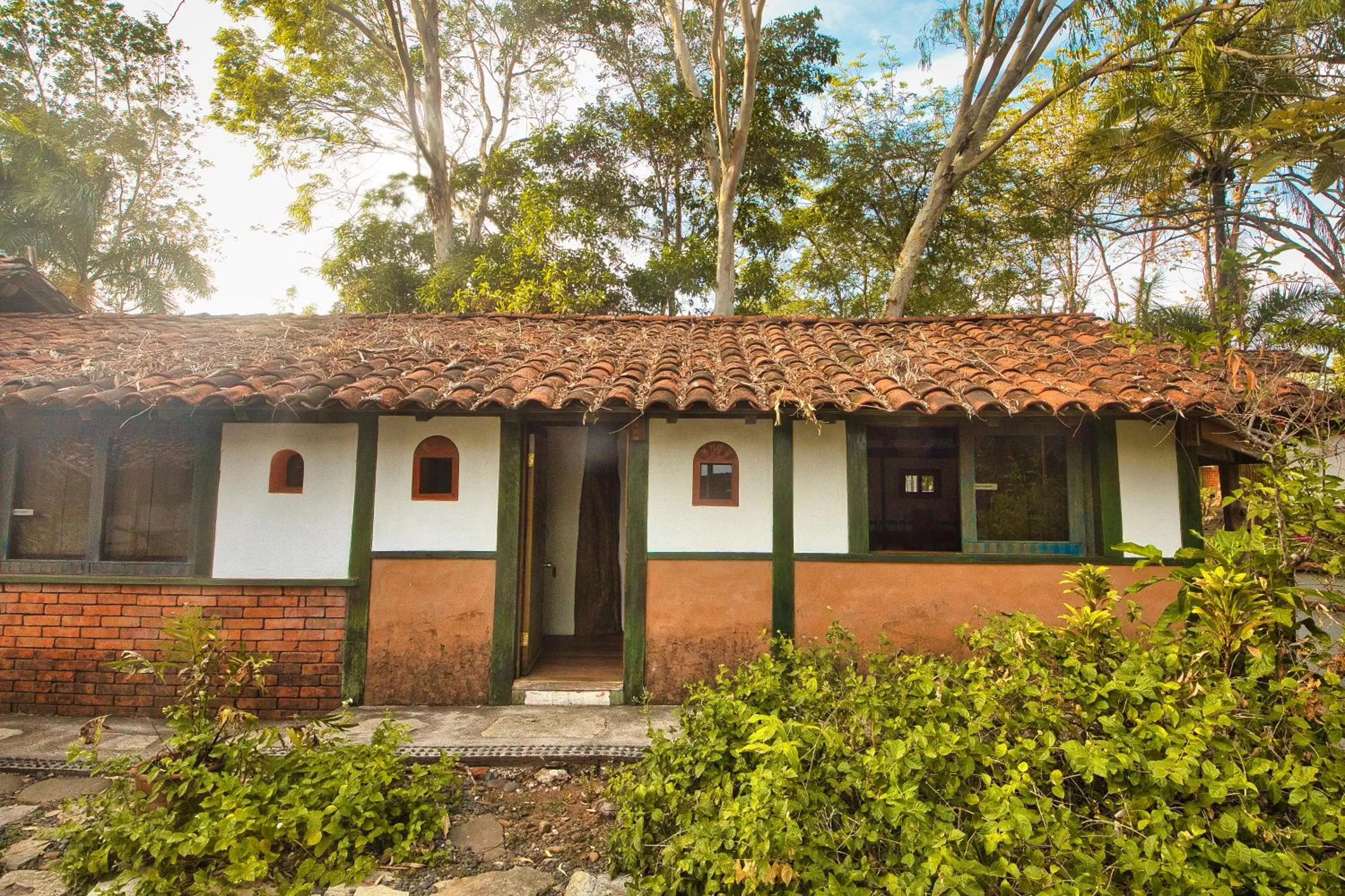 Garden in Hotel Posada Los Destiladeros