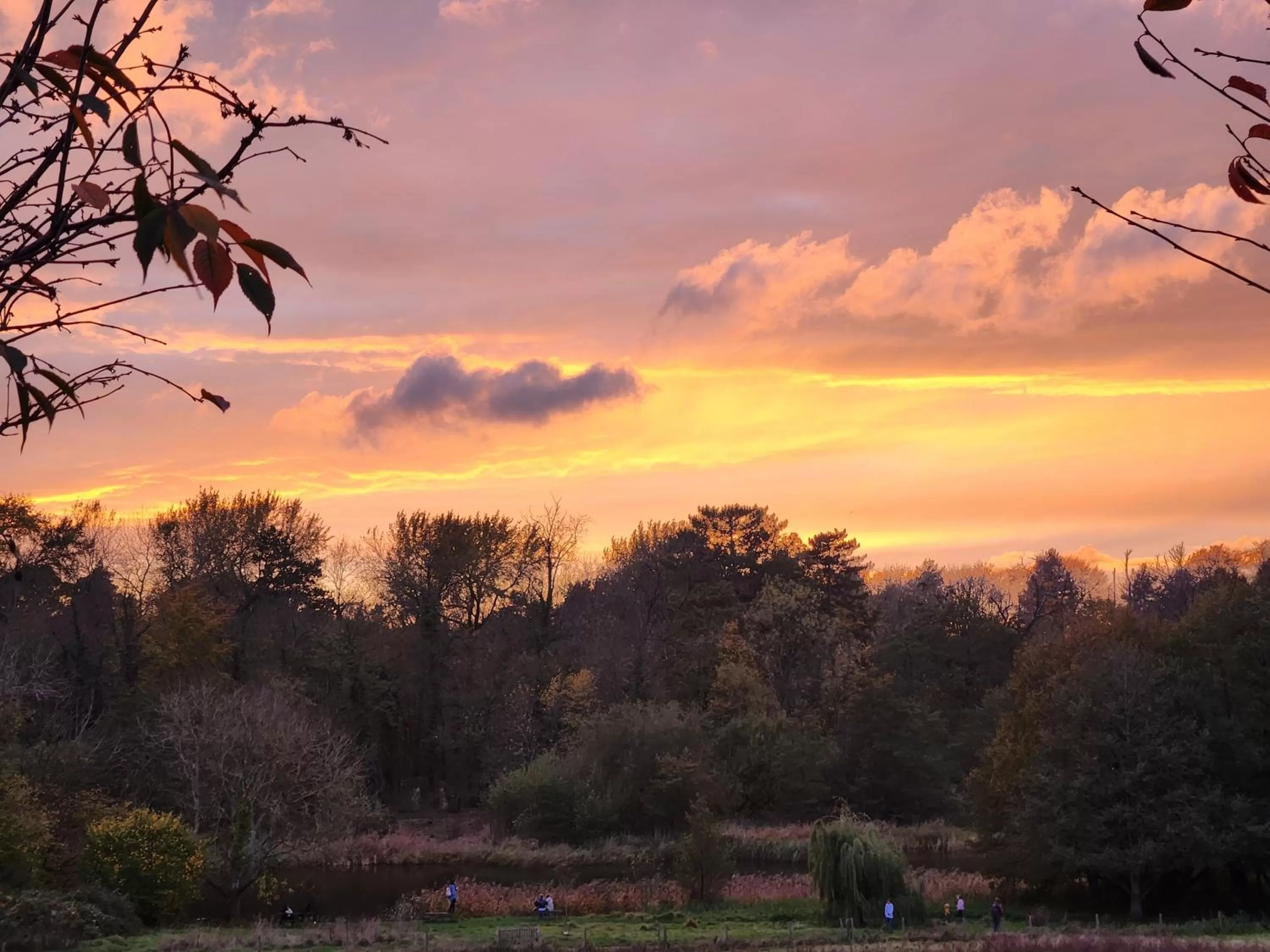 View (from property/room) in Stanton House Hotel