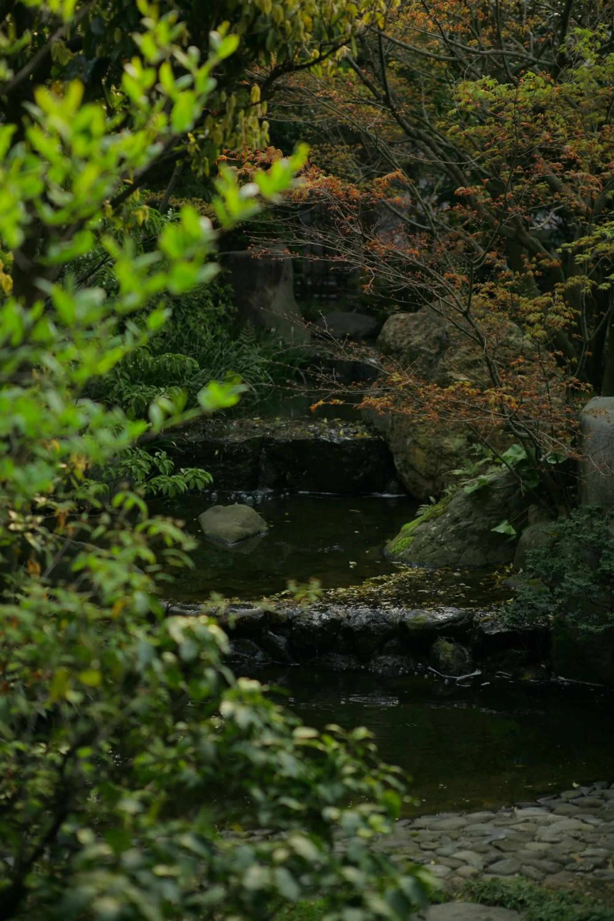 Photo of the whole room in Grandia Housen