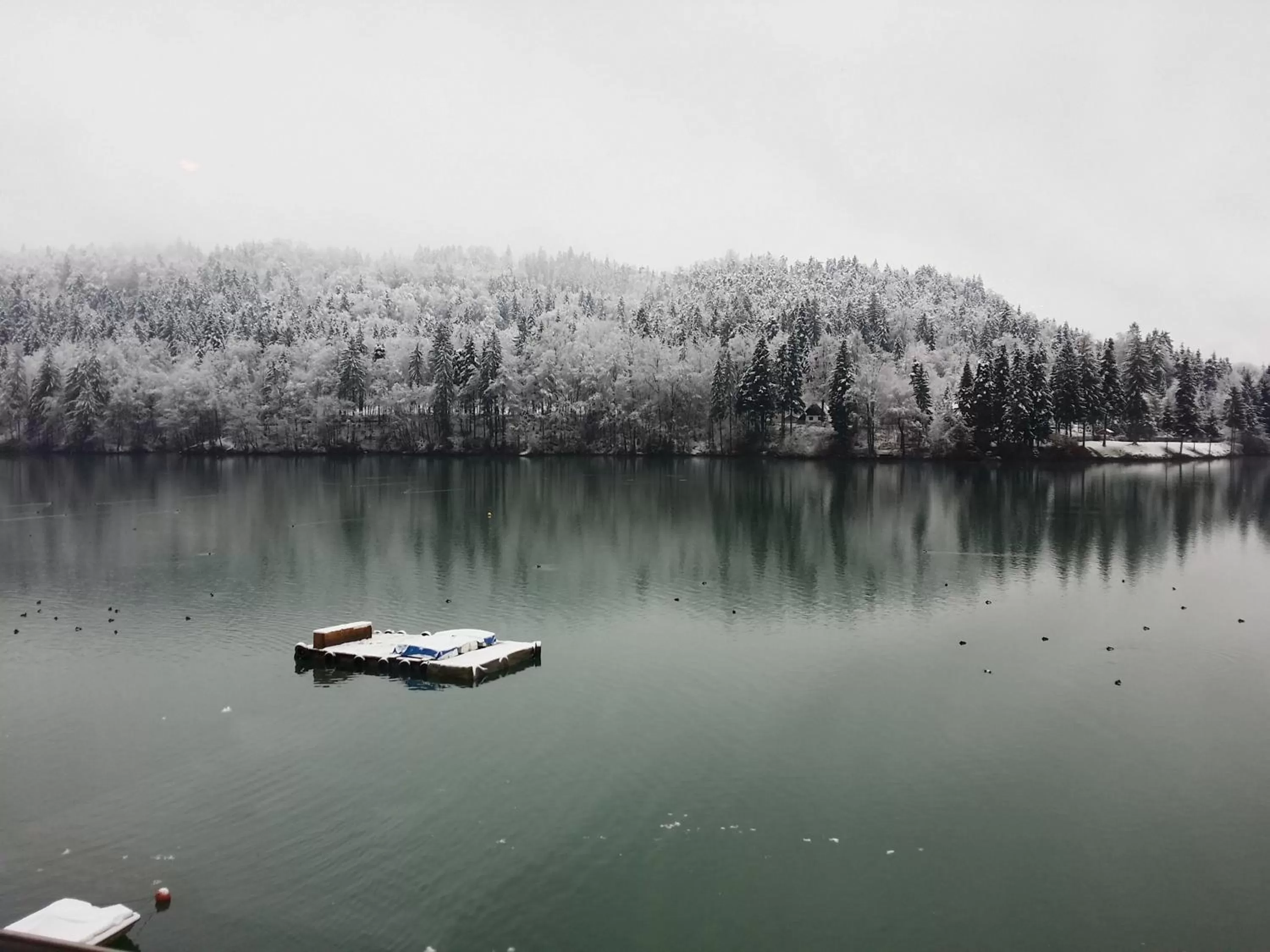 Lake view in Gostisce Jezero