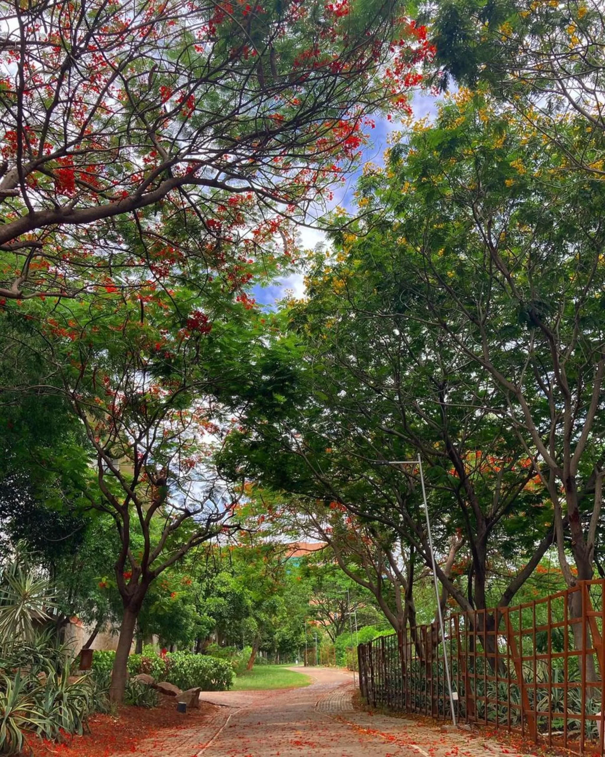 View (from property/room) in Hyatt Hyderabad Gachibowli