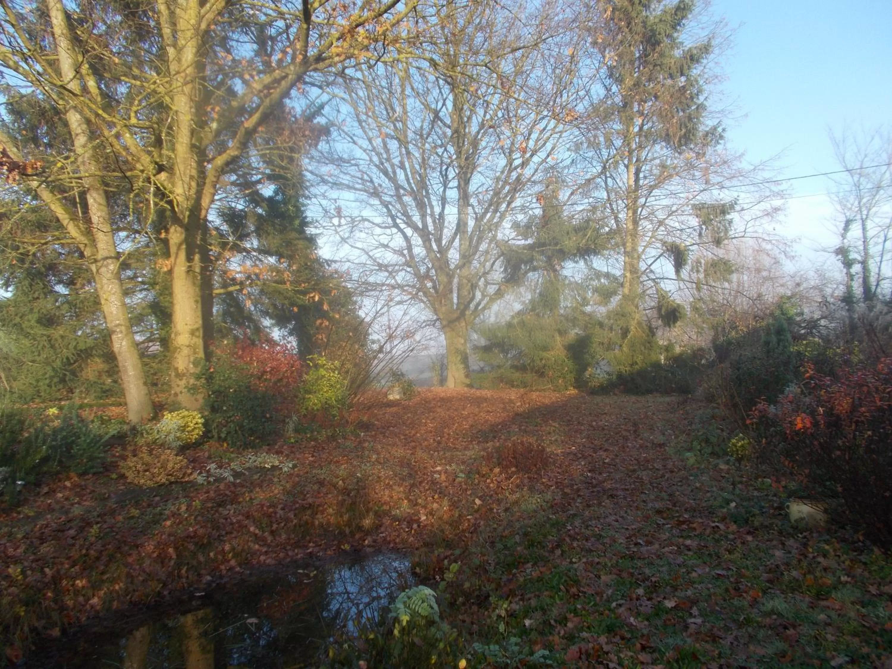 Natural landscape in La Cassinette
