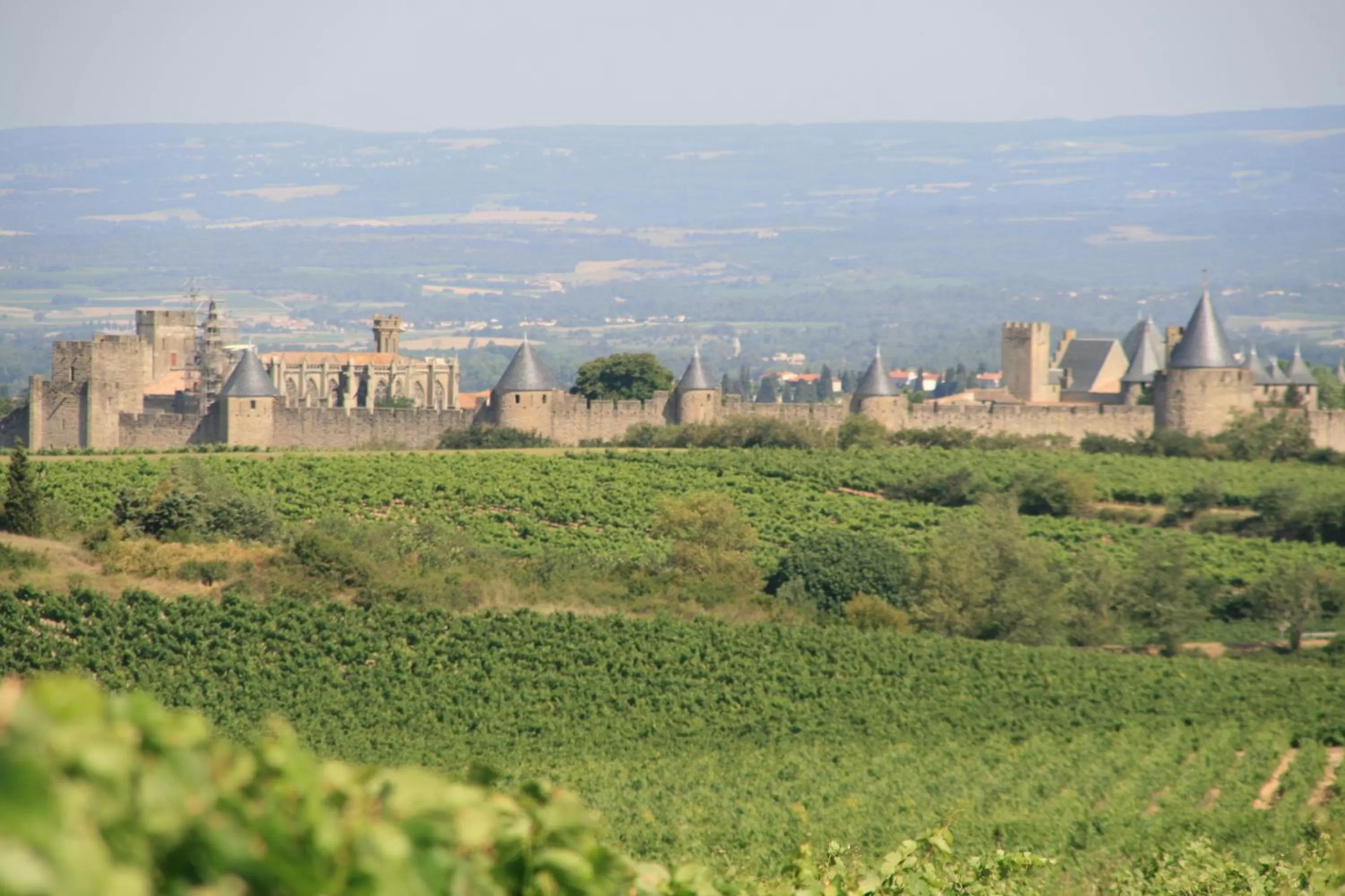 Area and facilities in La Maison sur la Colline
