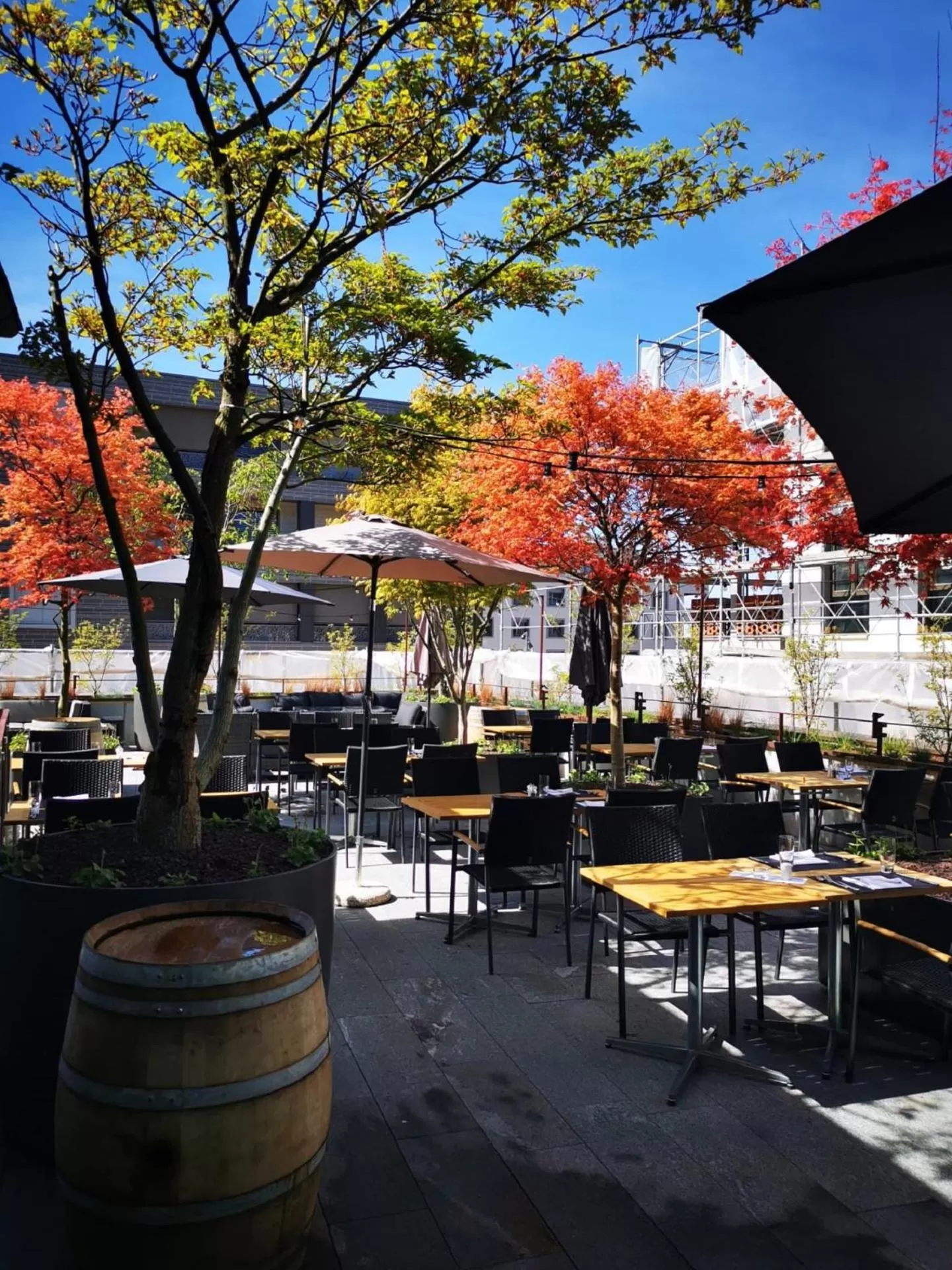 Restaurant/places to eat in Landgasthof Leuen