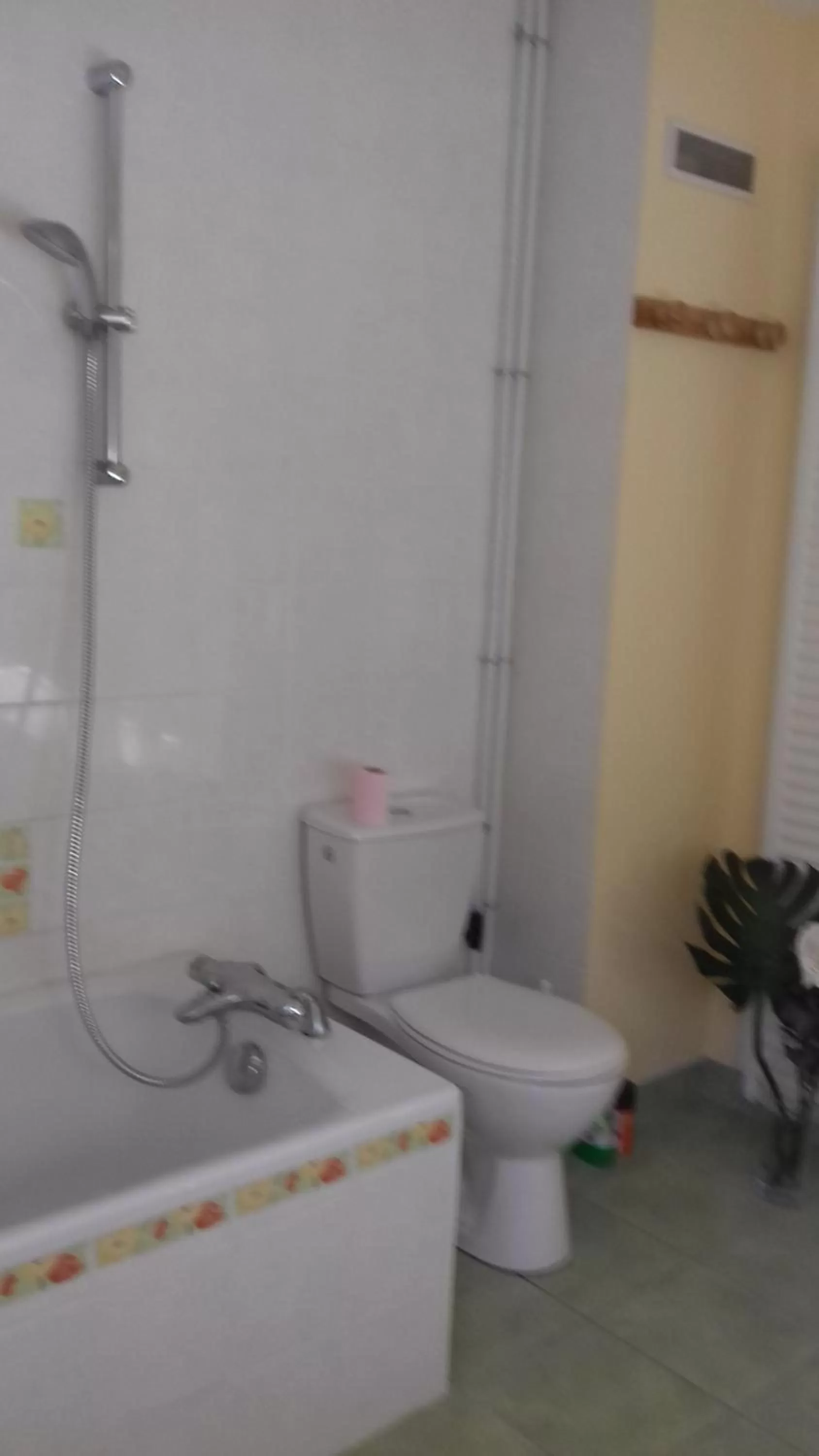 chambre chez l habitant