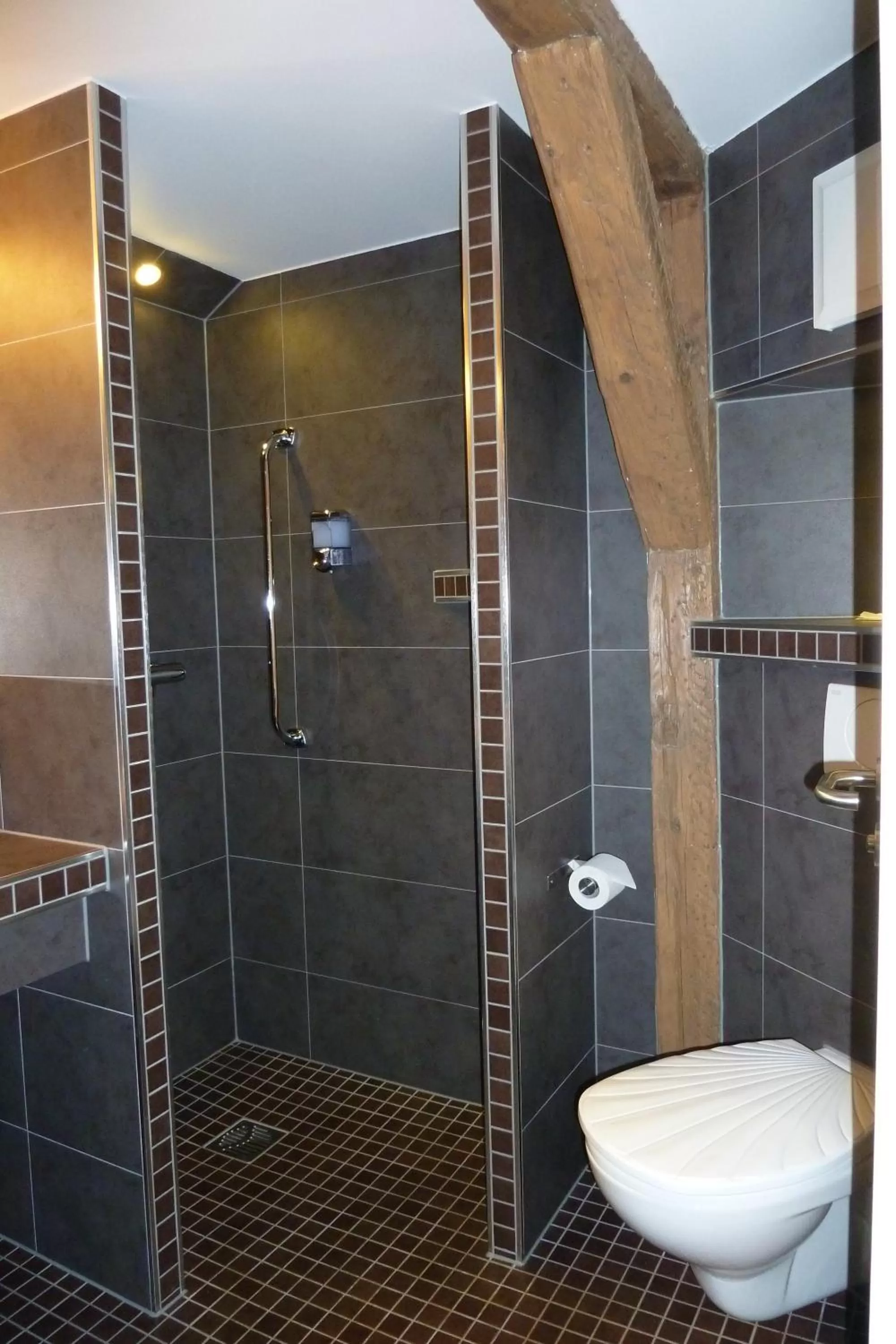 Shower in Hotel Goldener Stern