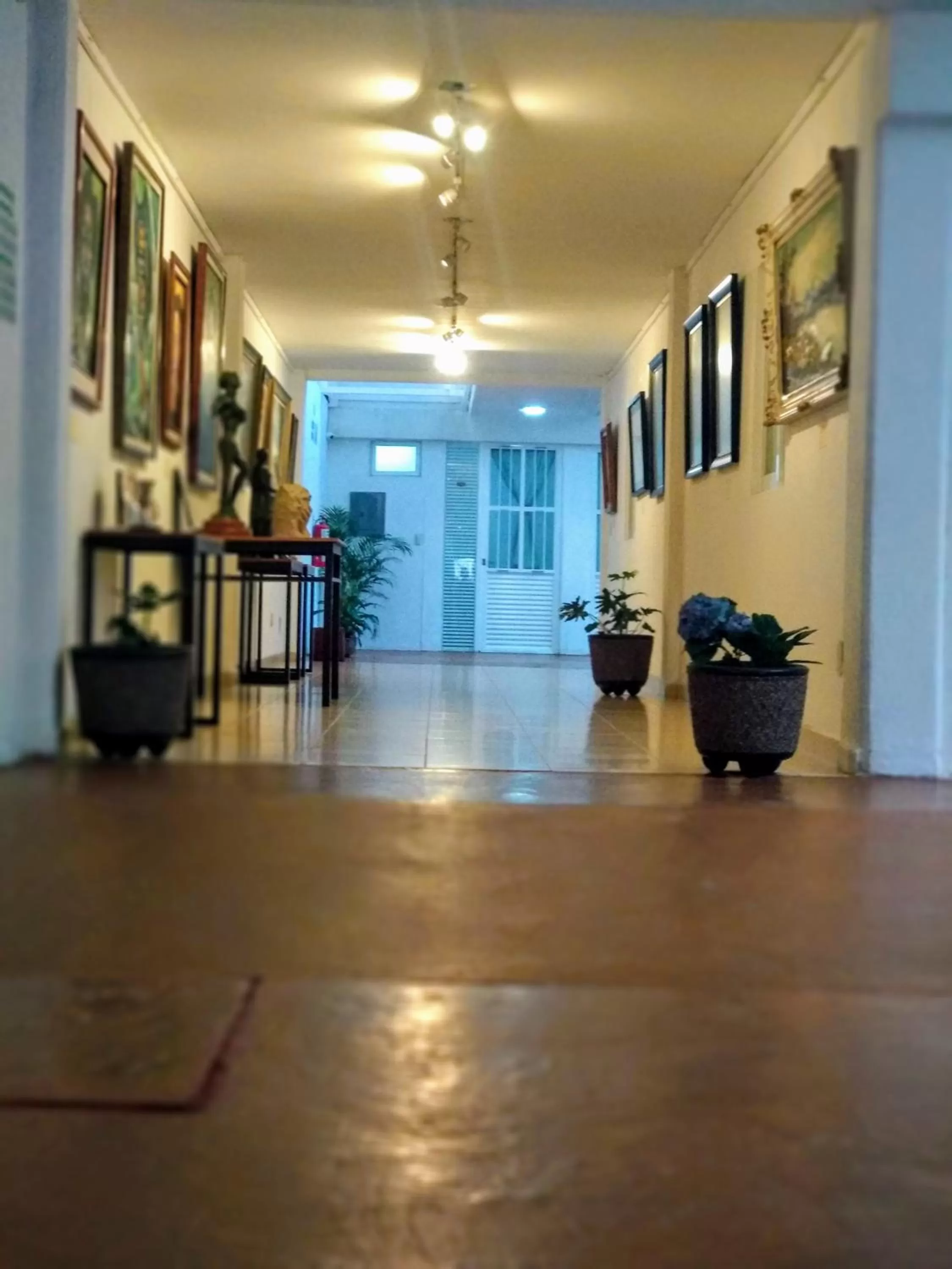 Area and facilities in Hotel del Arte y Figura