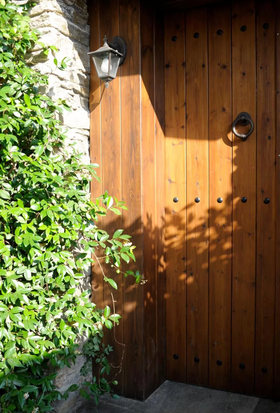 Garden in Marelia Hotel