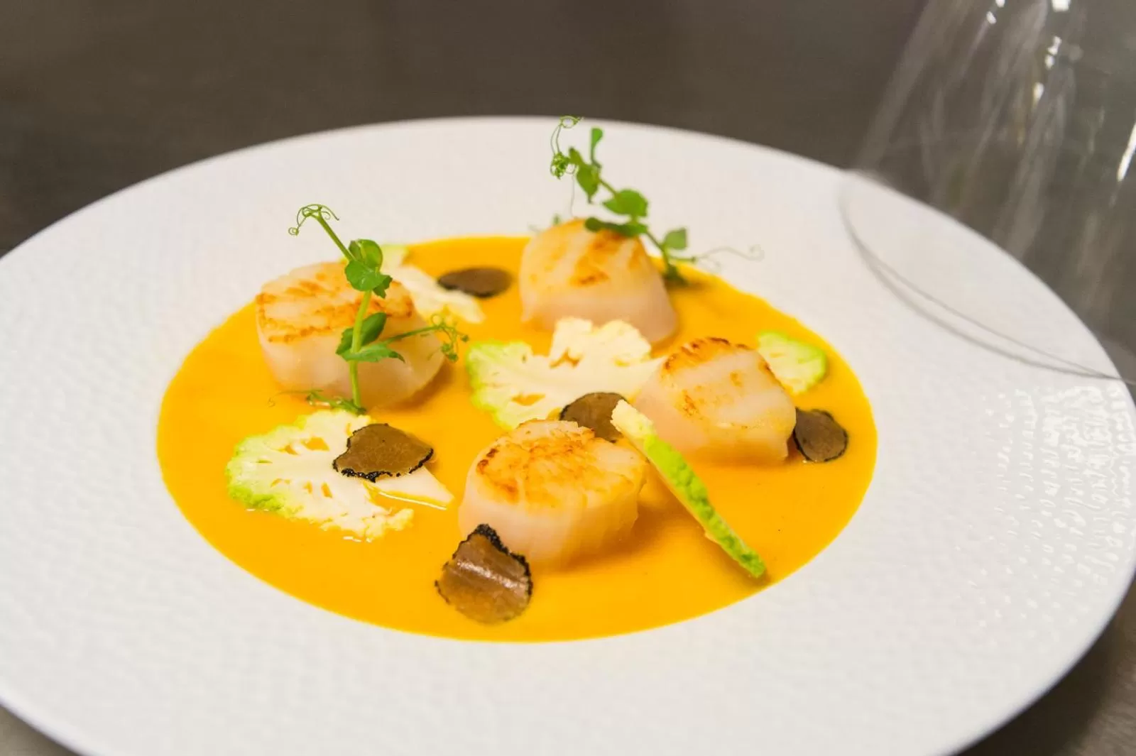 Food and drinks in Best Western Plus Paris Saclay