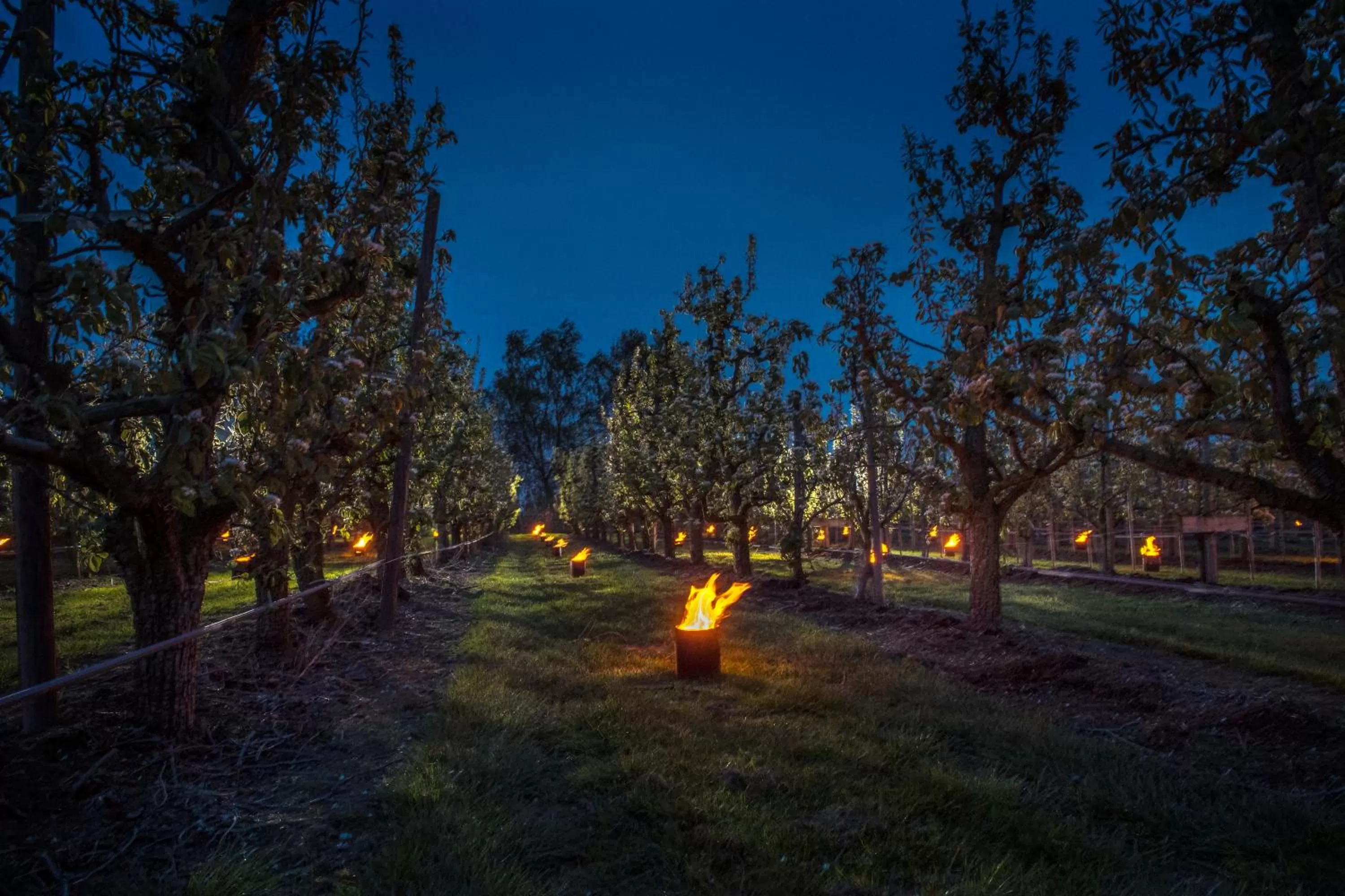 Off site in De Pastorie