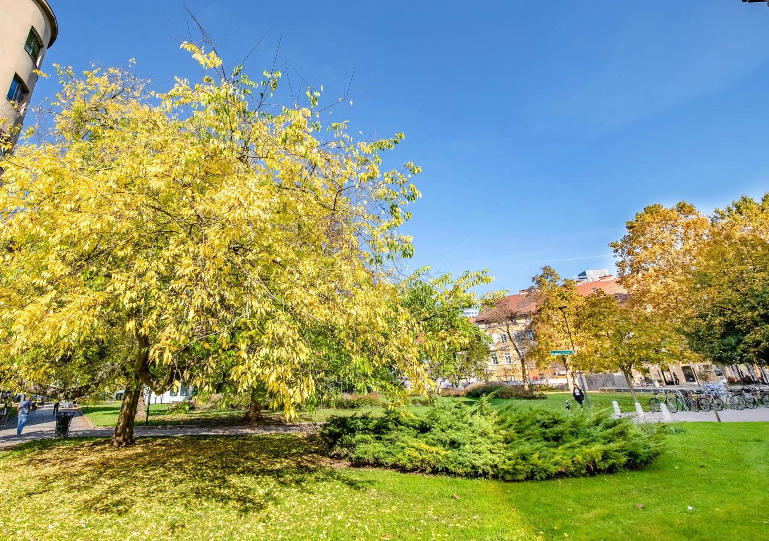 View (from property/room) in Urban Boutique Hotel Center