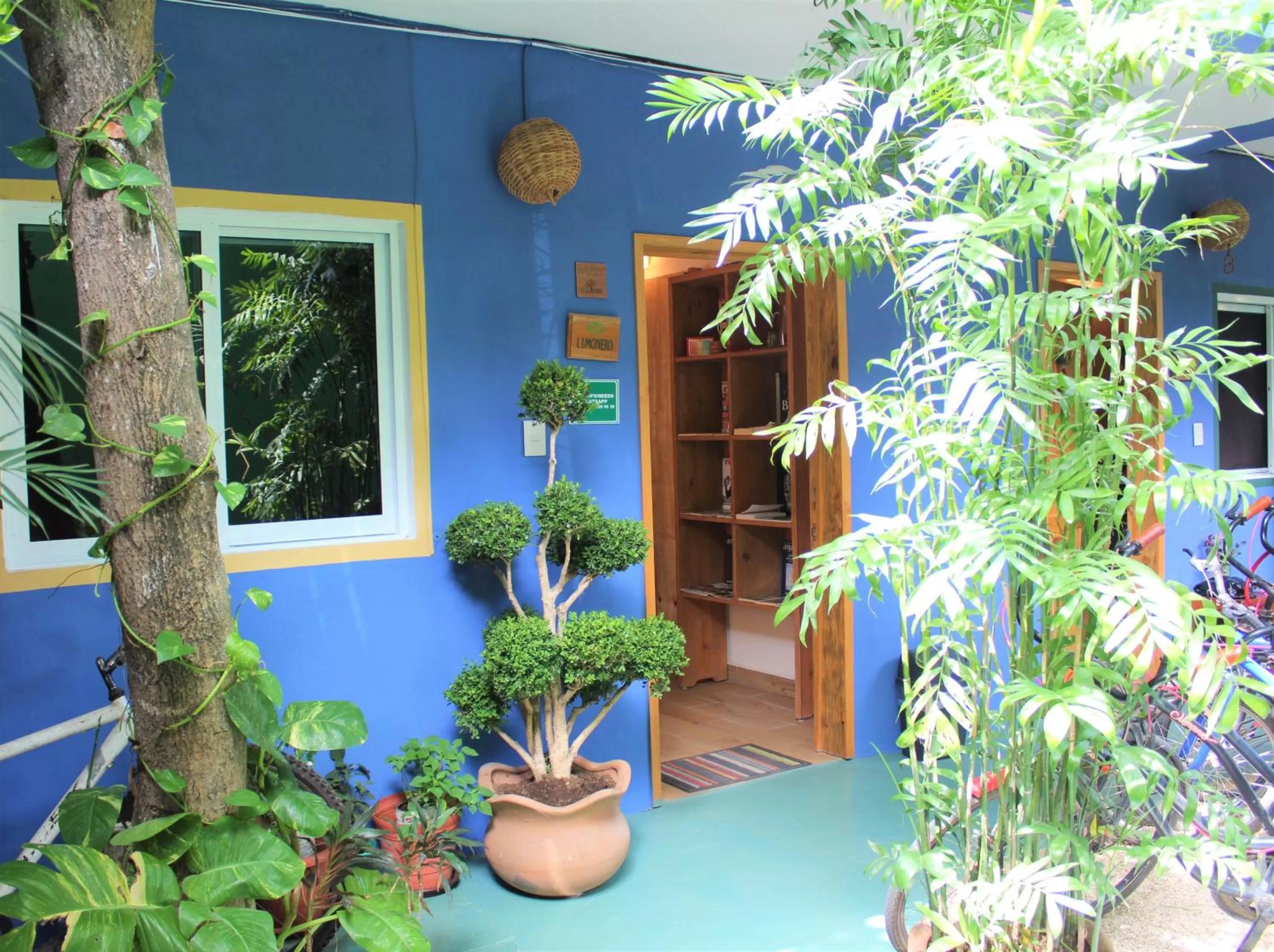 Lobby or reception in Casa Almendro