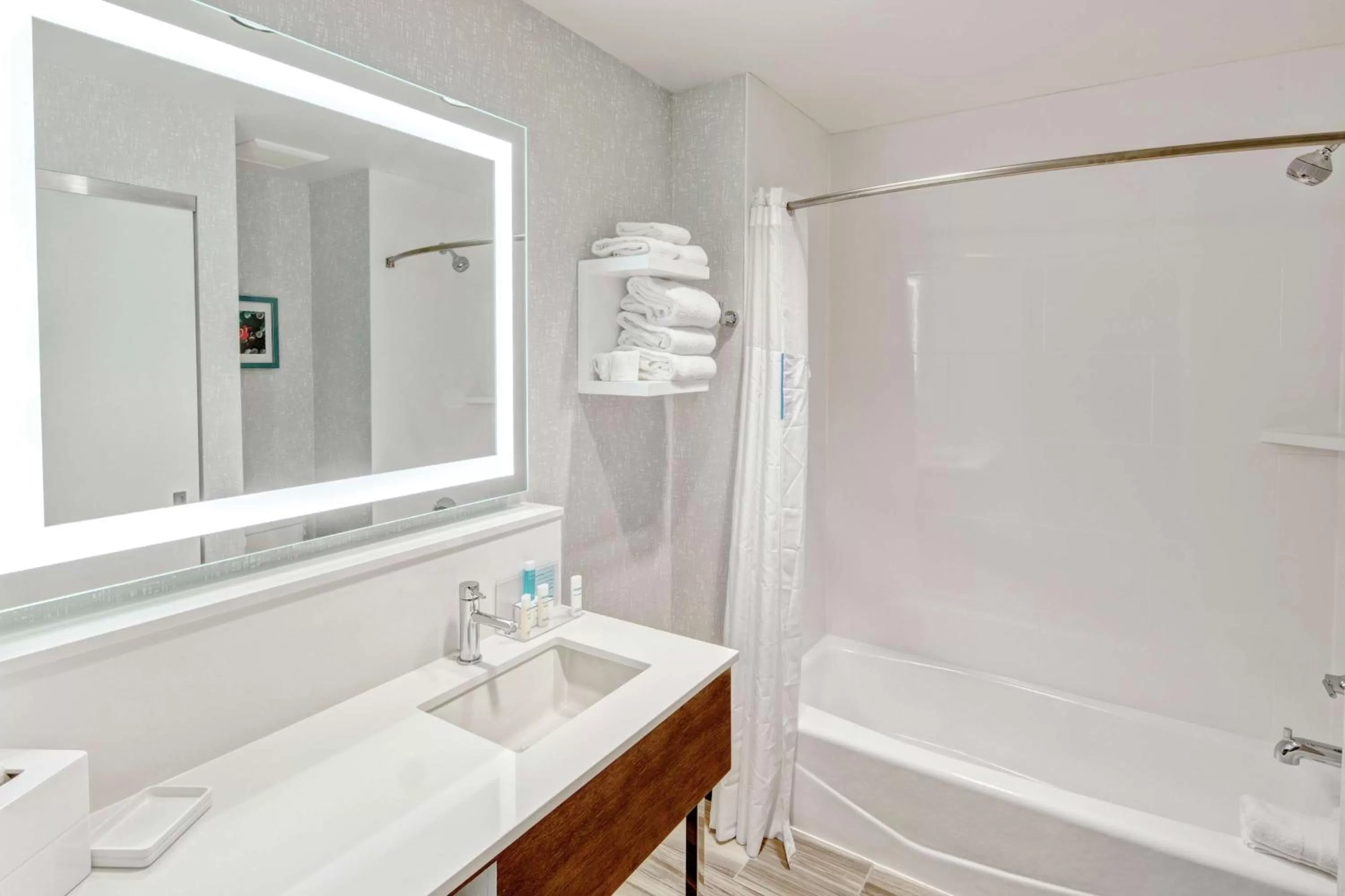Bathroom in Hampton by Hilton Encinitas-Cardiff Encinitas, CA