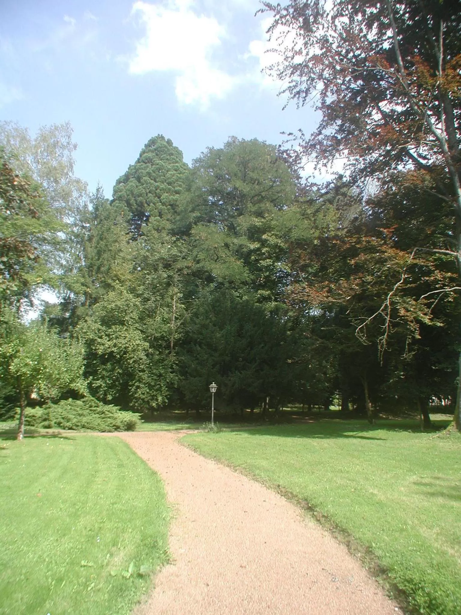 Garden in MaisonMazerand