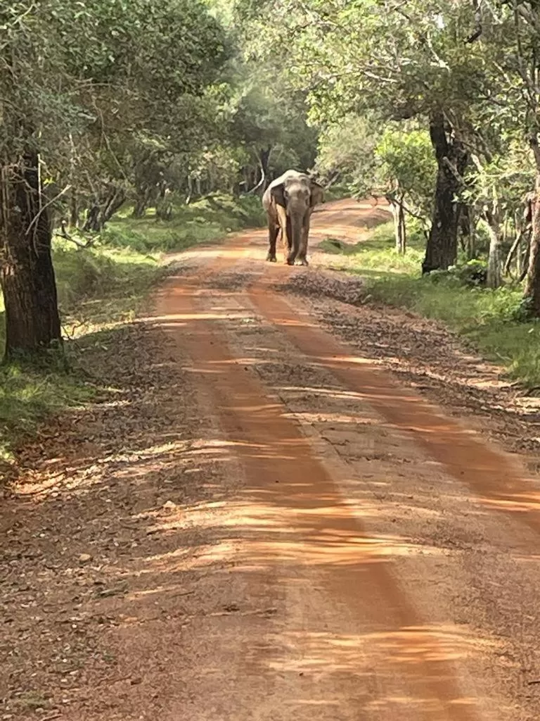 Jayasinghe Holiday Resort