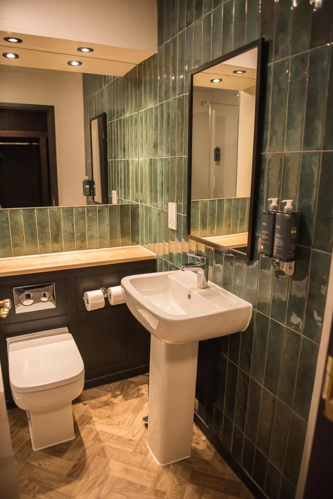 Toilet in Cat & Lion Country Pub and Hotel