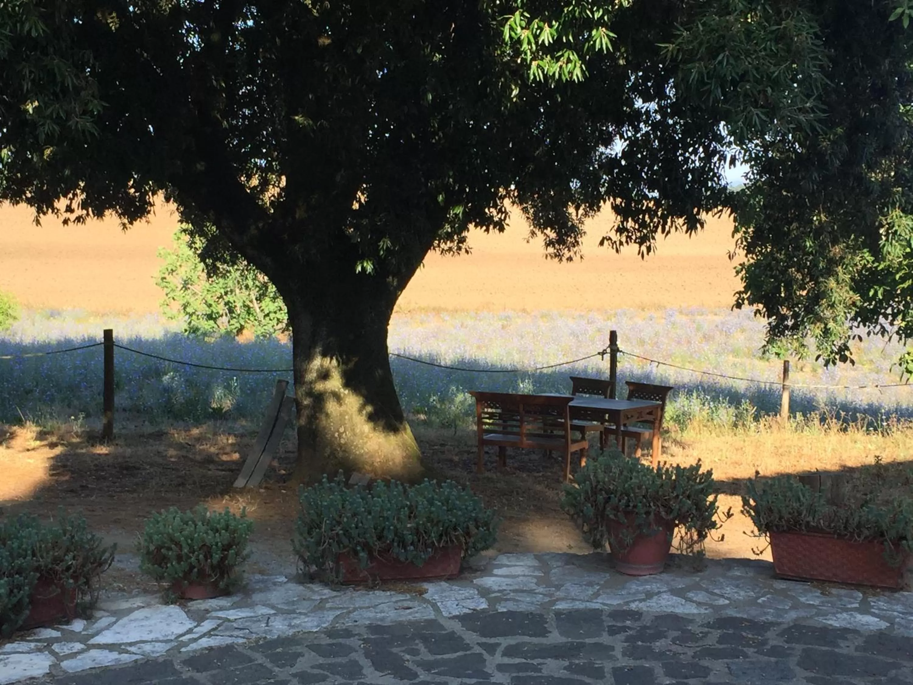 Natural landscape in Il soffio di Eolo