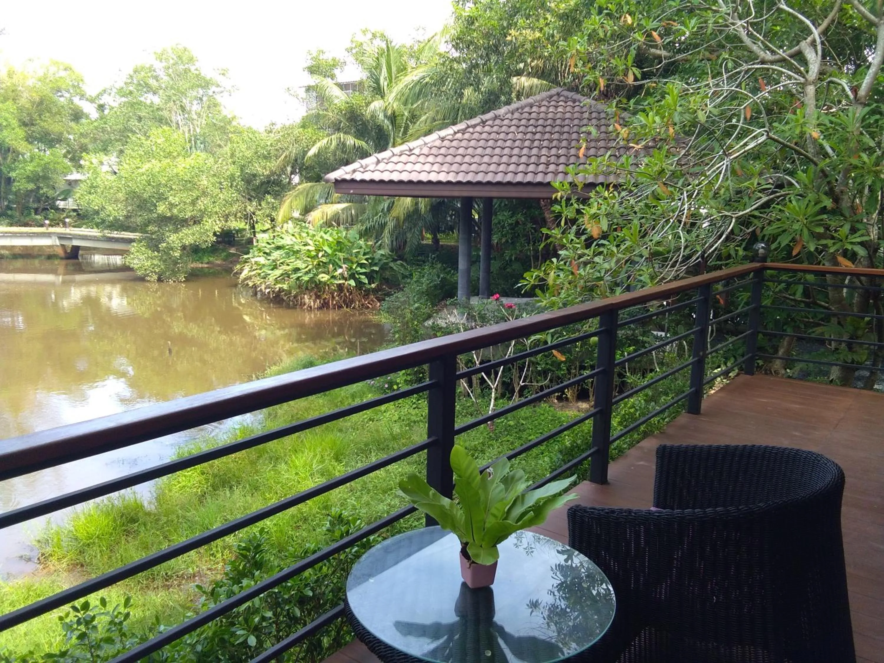 Lake view in The Touch Green Naiyang Hotel & Fitness