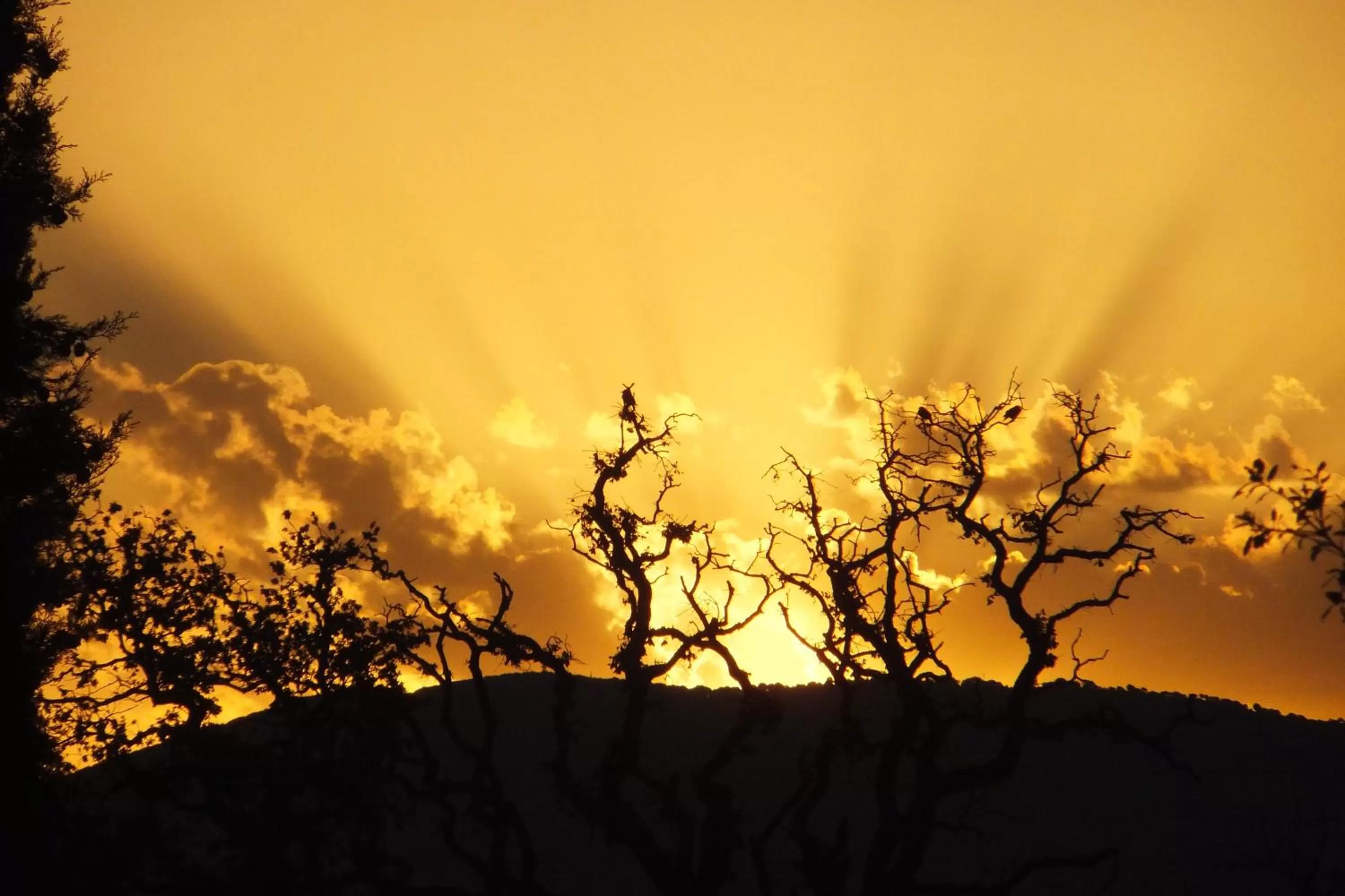 Other in Janas Country Resort