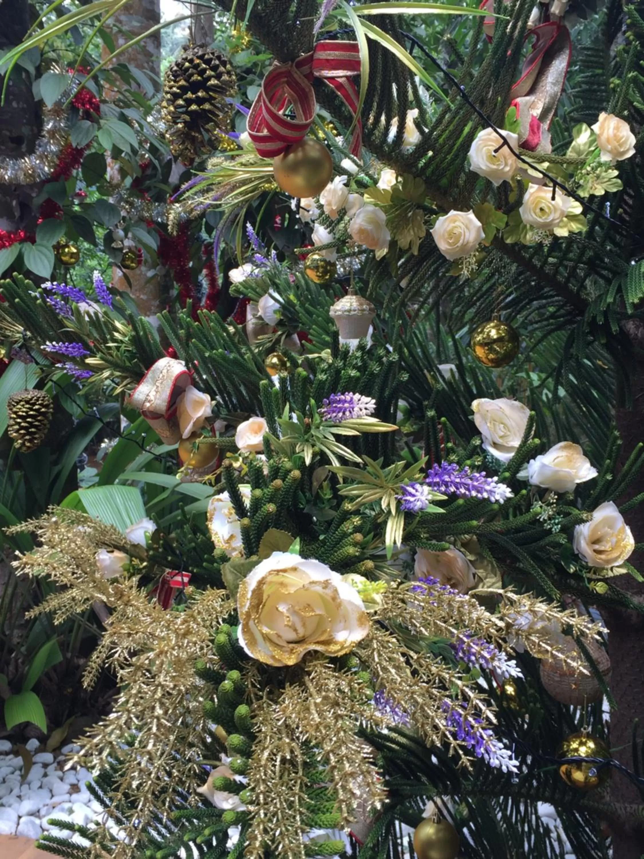 Patio, Other Animals in Le leopard d 'argent