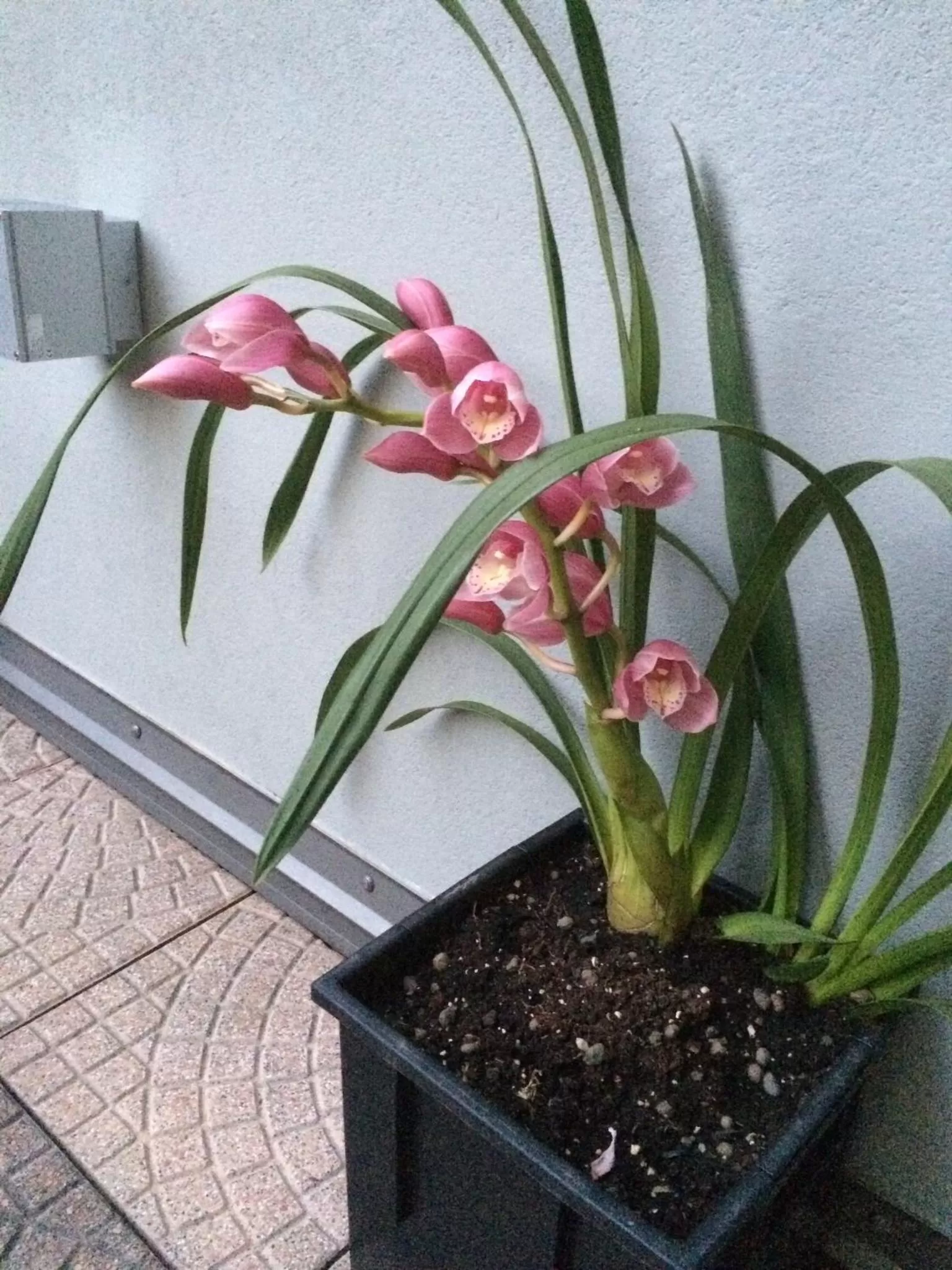 Smart-House Rent-Rooms FREE PARKING