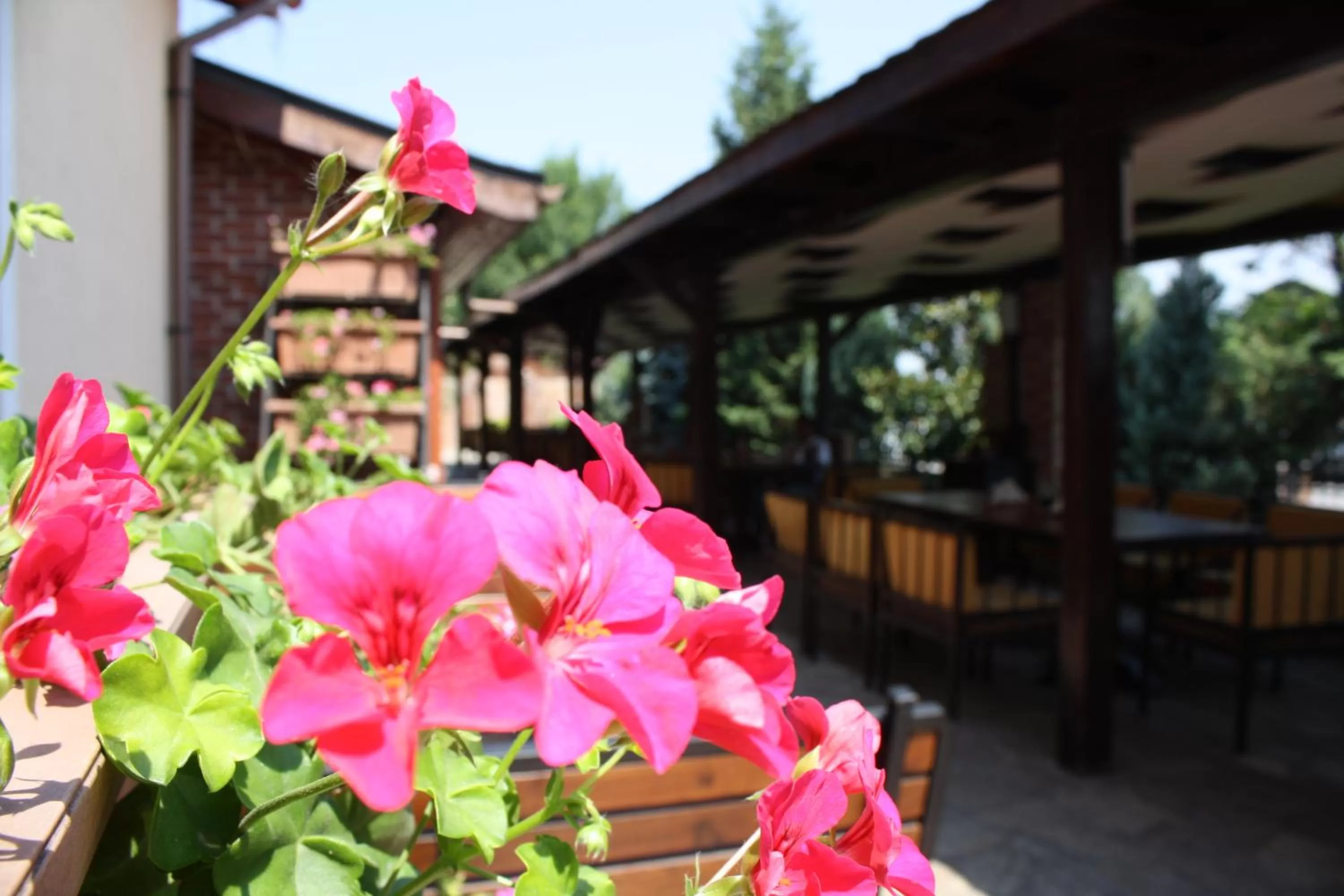 Decorative detail in Hotel Villa Verde