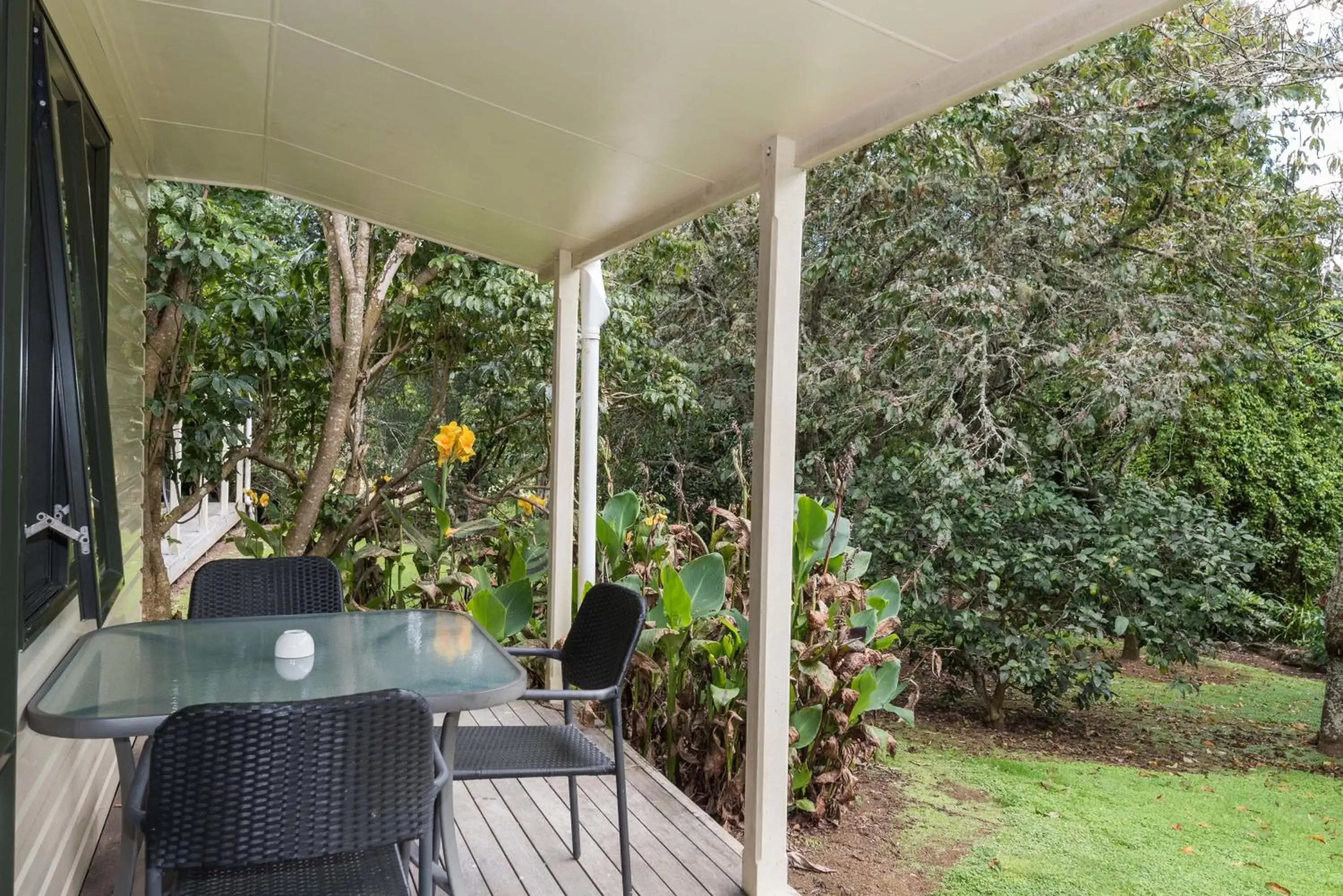 Executive Studio in Kauri Park Motel Executive Studio in Kauri Park Motel