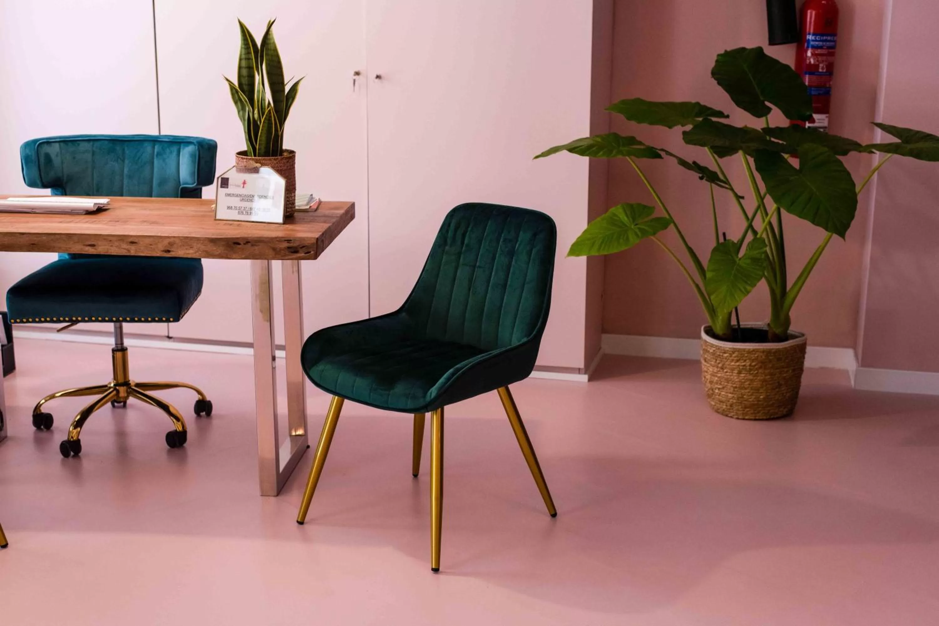 Lobby or reception in Hotel Almunia