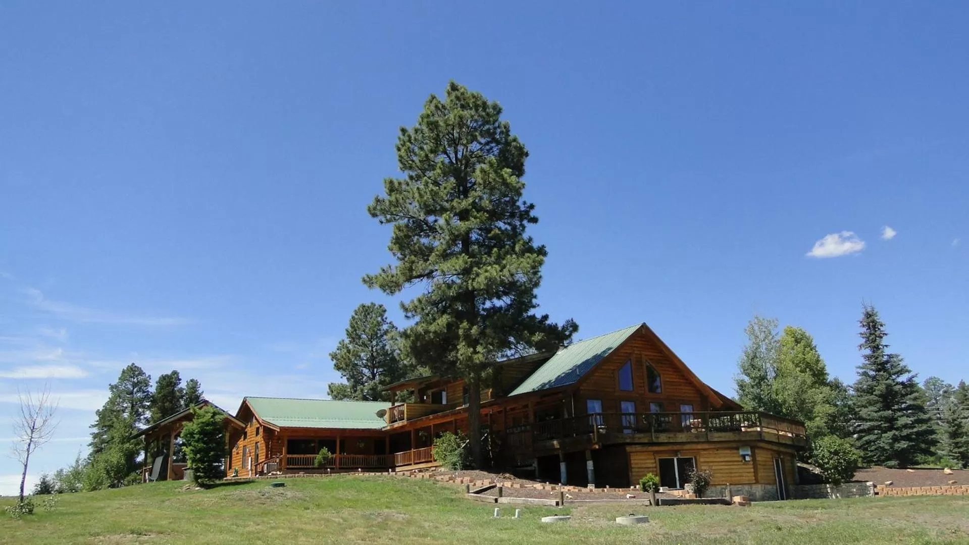 Garden, Property Building in Elkwood Manor Bed & Breakfast