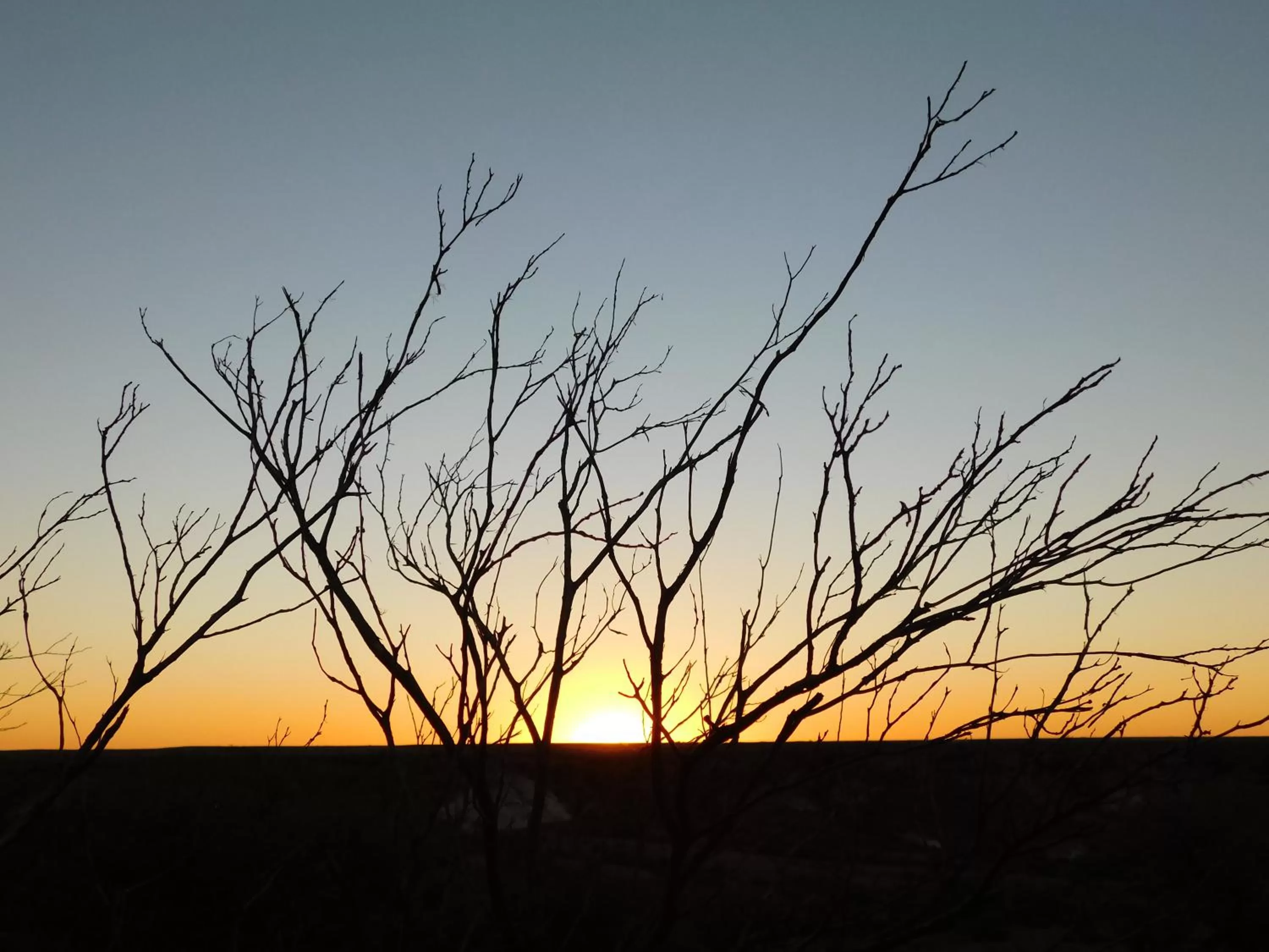 Breakfast in Opal Inn Hotel, Motel, Caravan Park
