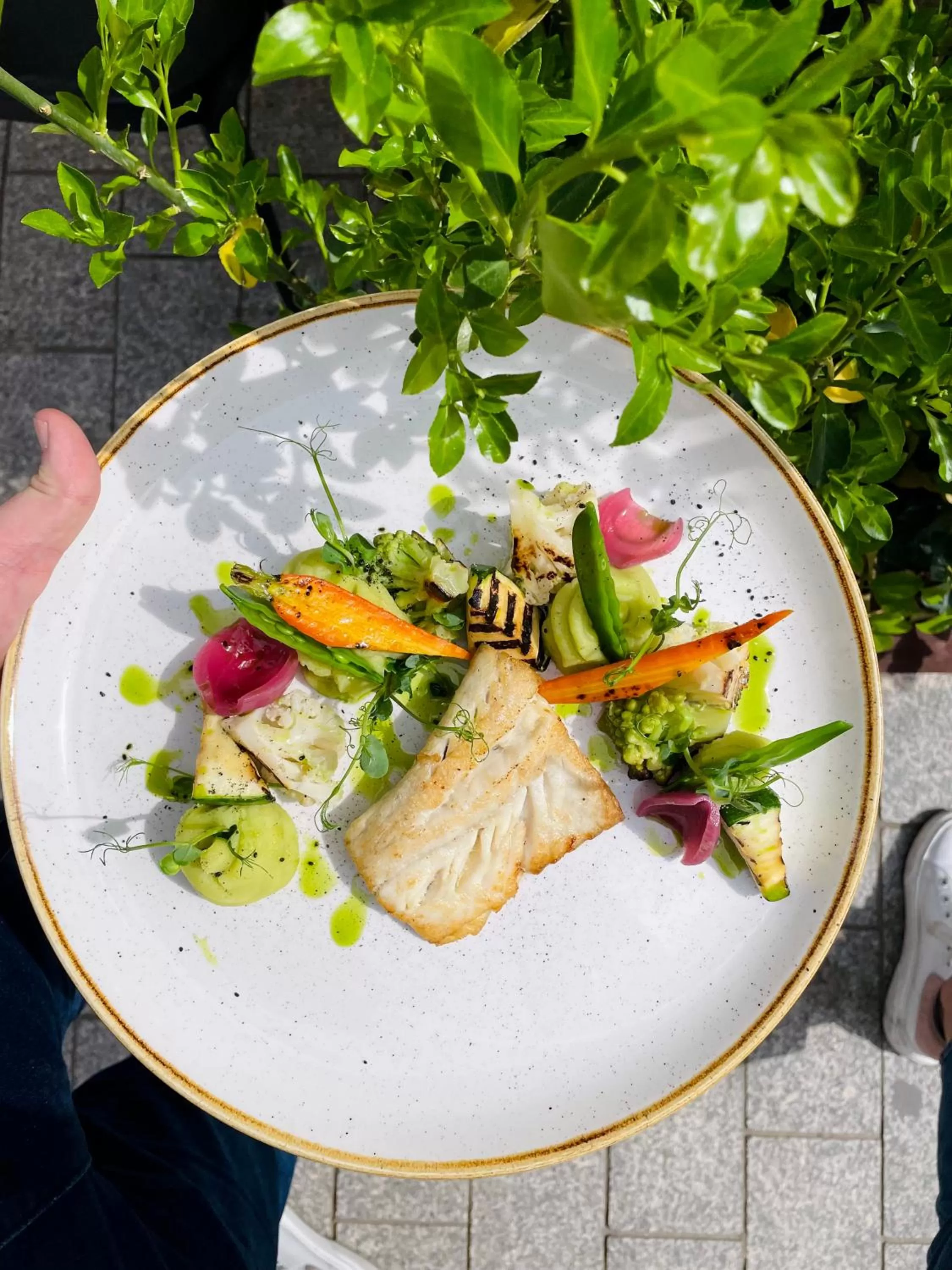 Food and drinks in Palazzo Rosso Old Town